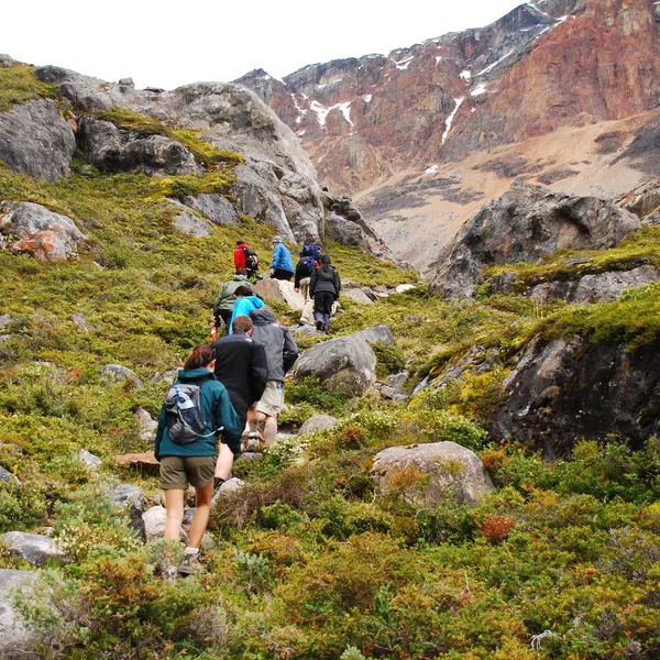 Sustainable travel: planting the seed for your next adventure