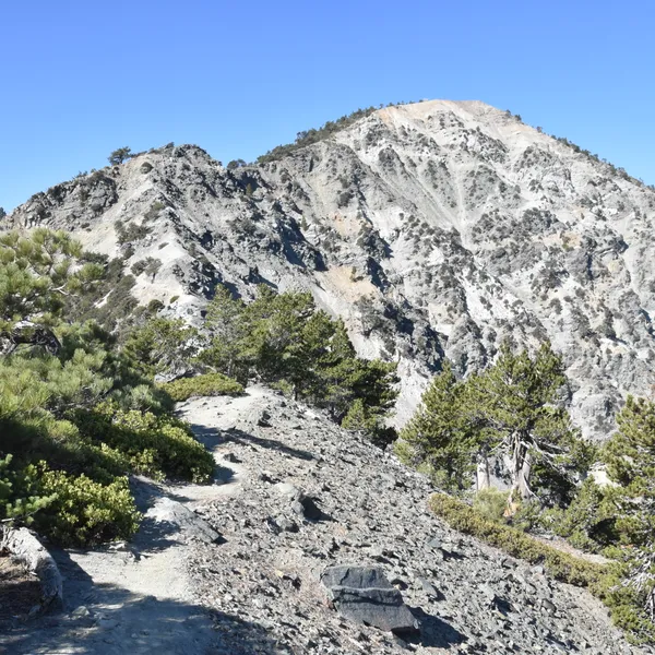 10 Essentials for Survival in the Outdoors