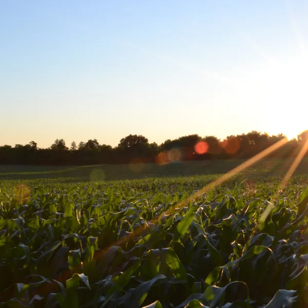 Resource Guide for Supporting BIPOC Landowners, Farmers, Growers, and Food Entrepreneurs