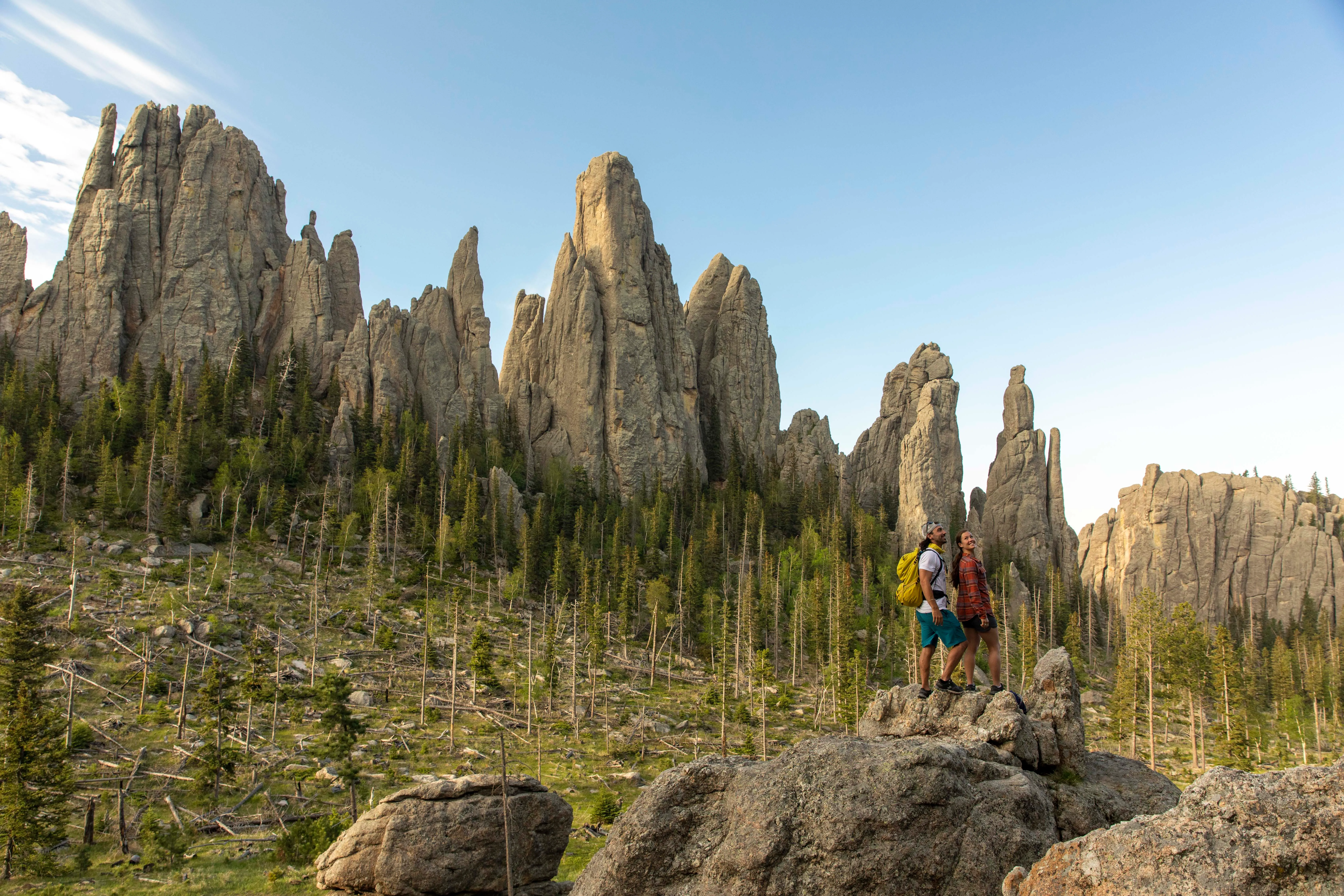 Cathedral Spires in the Black Hills
