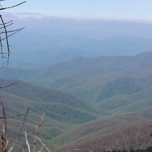 Ways to Connect with Nature Around You