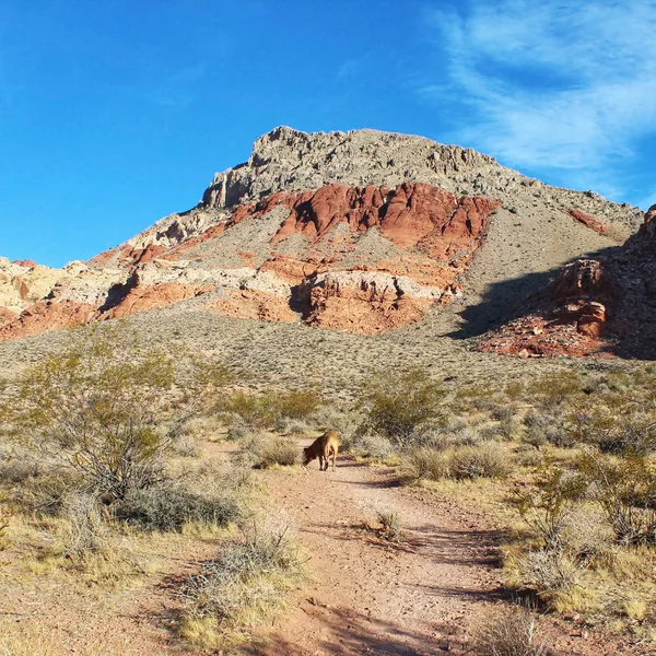 How the Outdoors Saved My Life