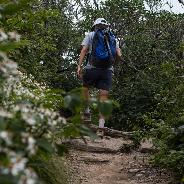 The Osprey Heritage Simplex: Worthy of the Re-imagined Classic