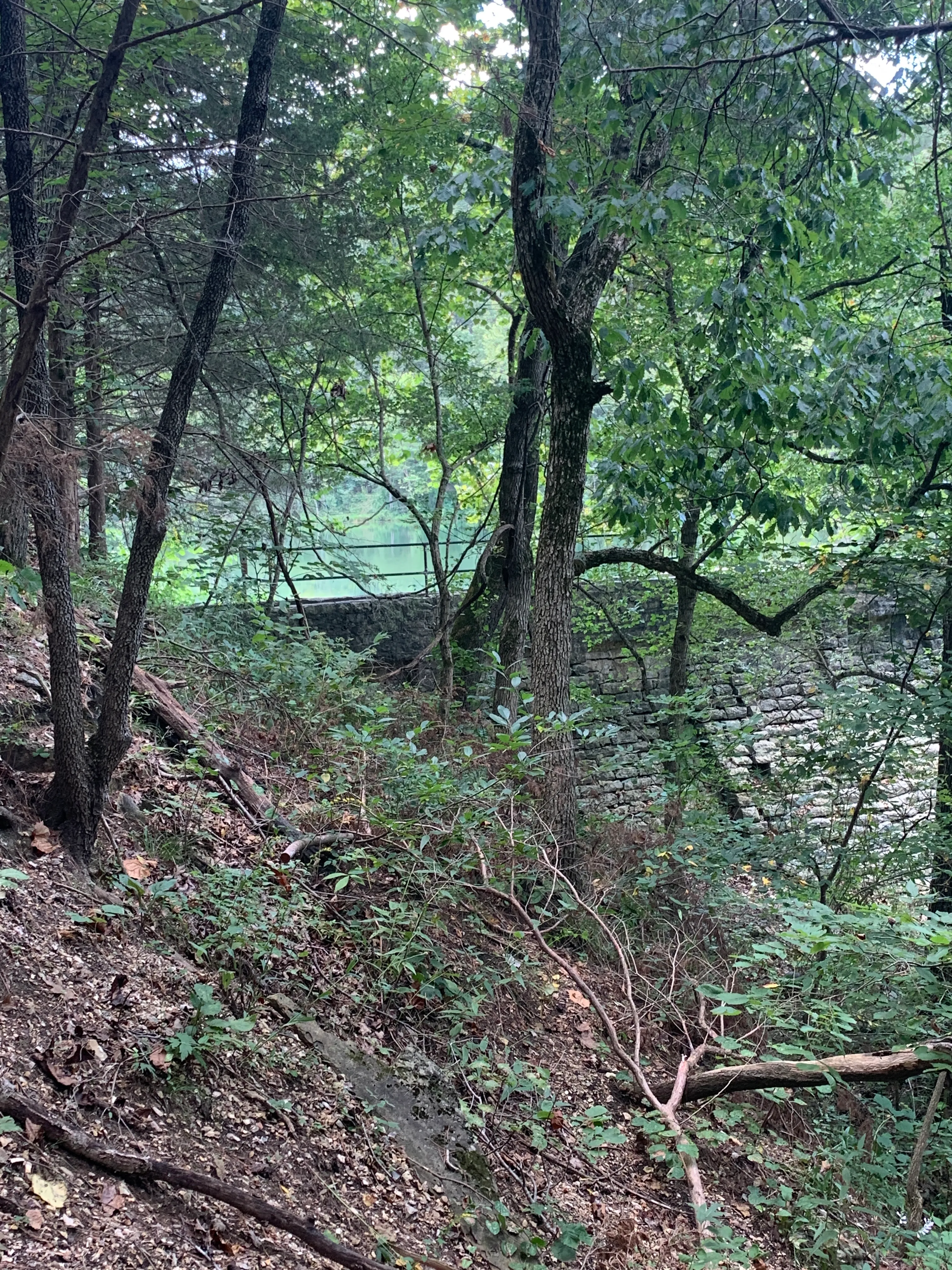 Black Bass Lake Trail