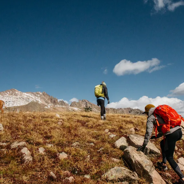 How to Train a Dog for the Backcountry