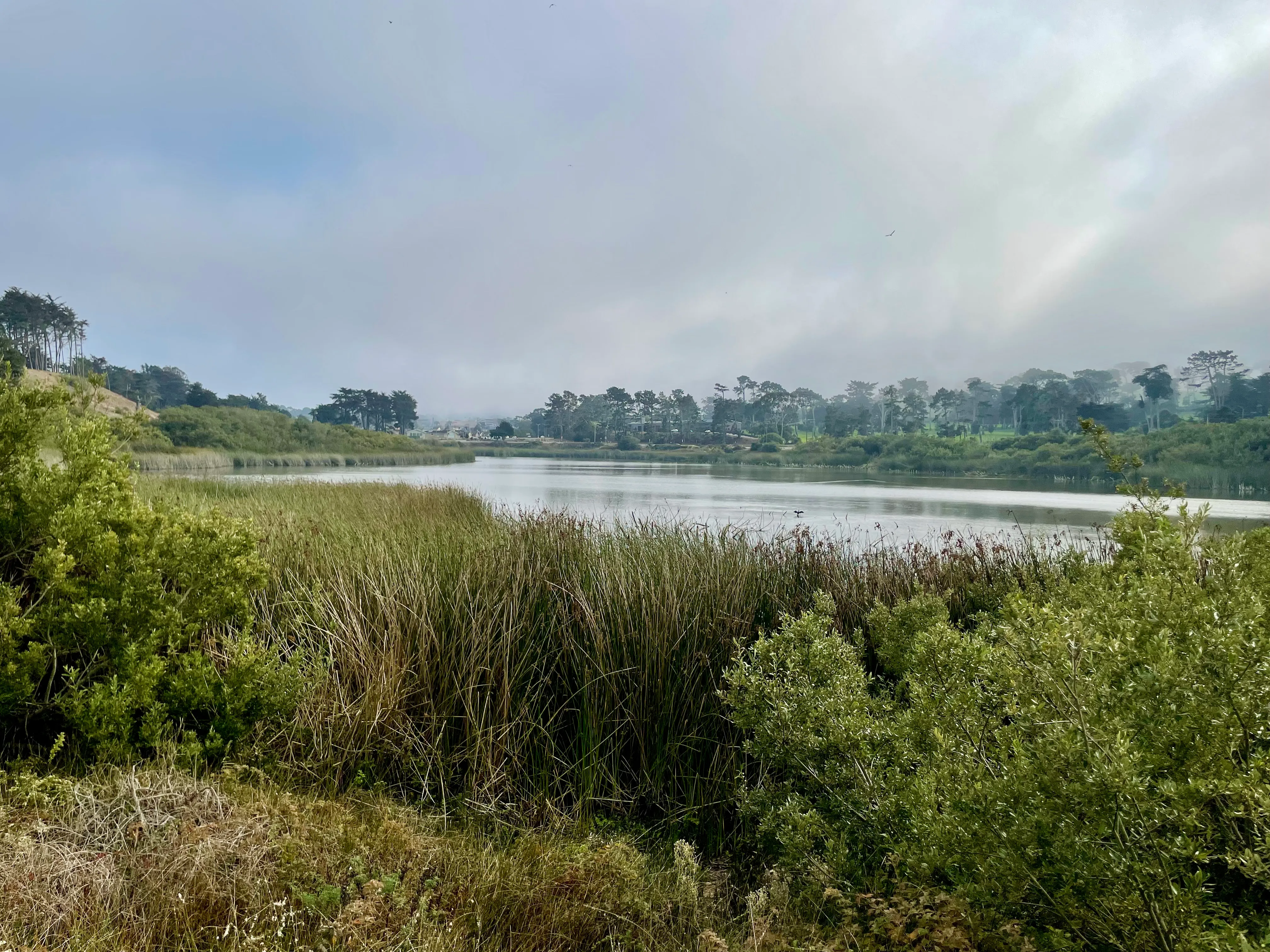 Lake Merced Loop
