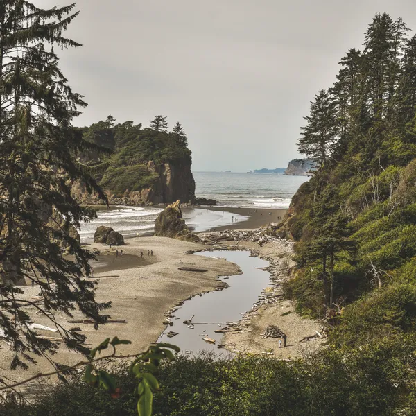 My 3-Day Getaway to The Olympic Peninsula 