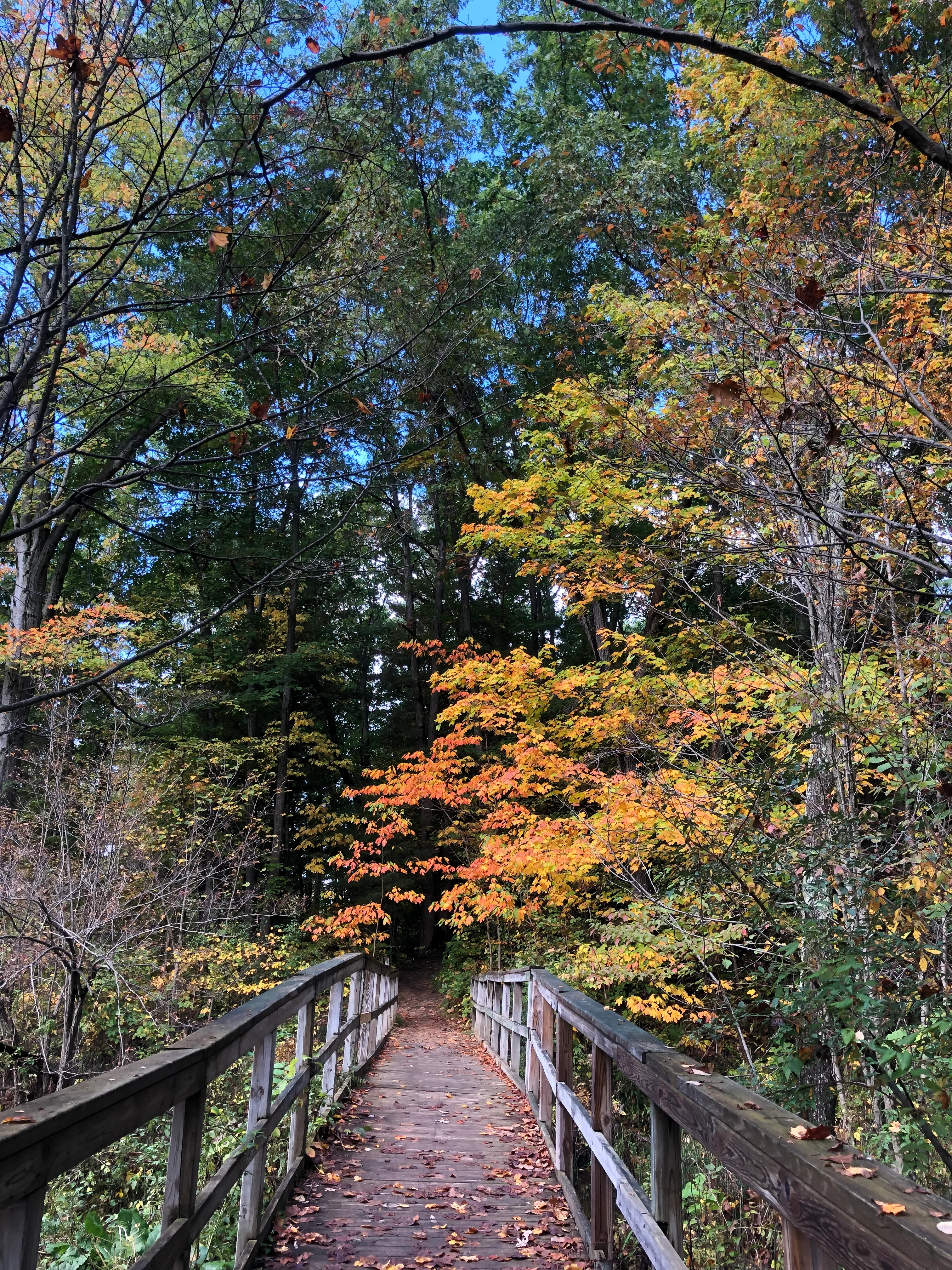 Lake Minnawanna Scenic Trail