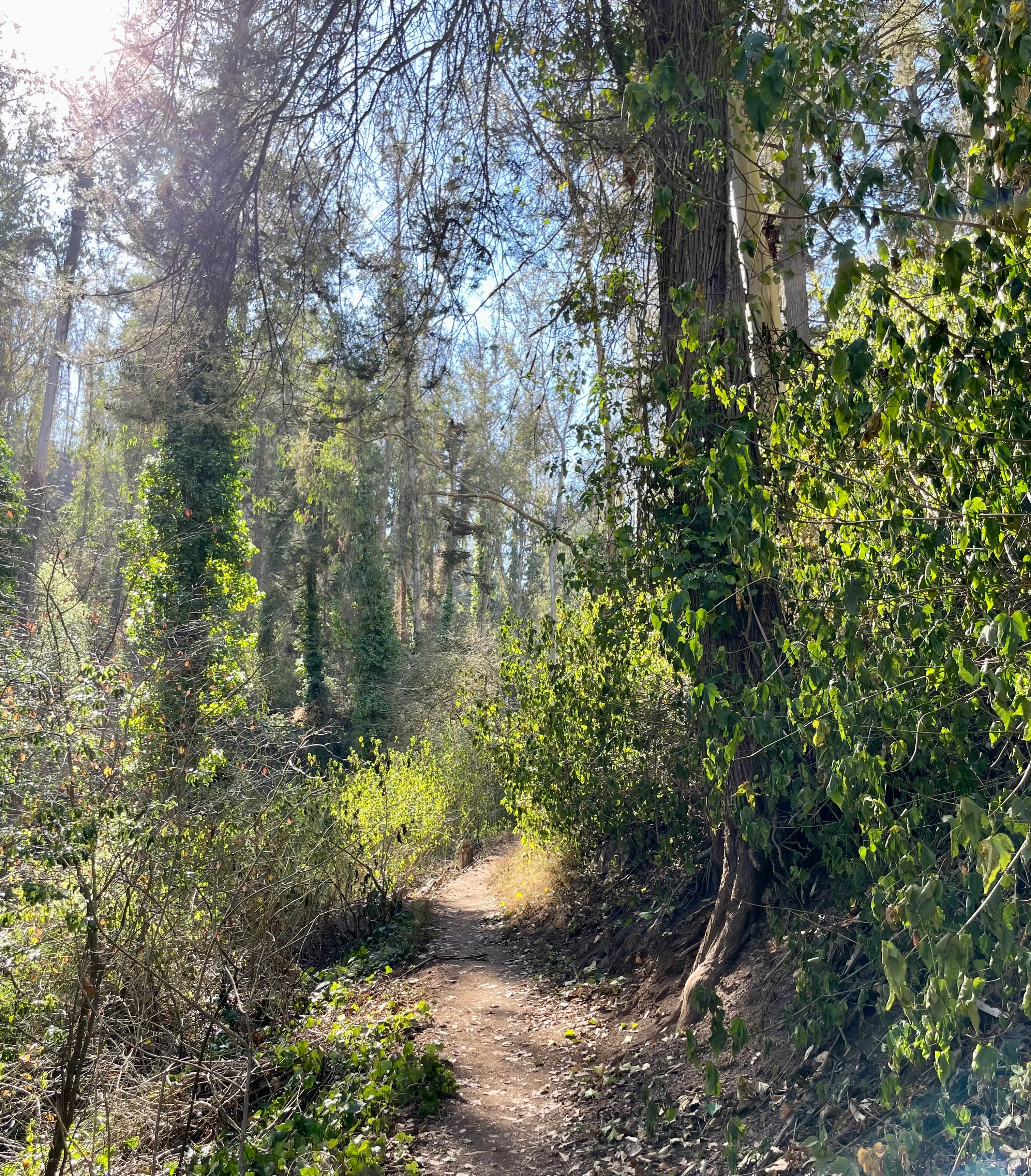 Fairy Gates Trail
