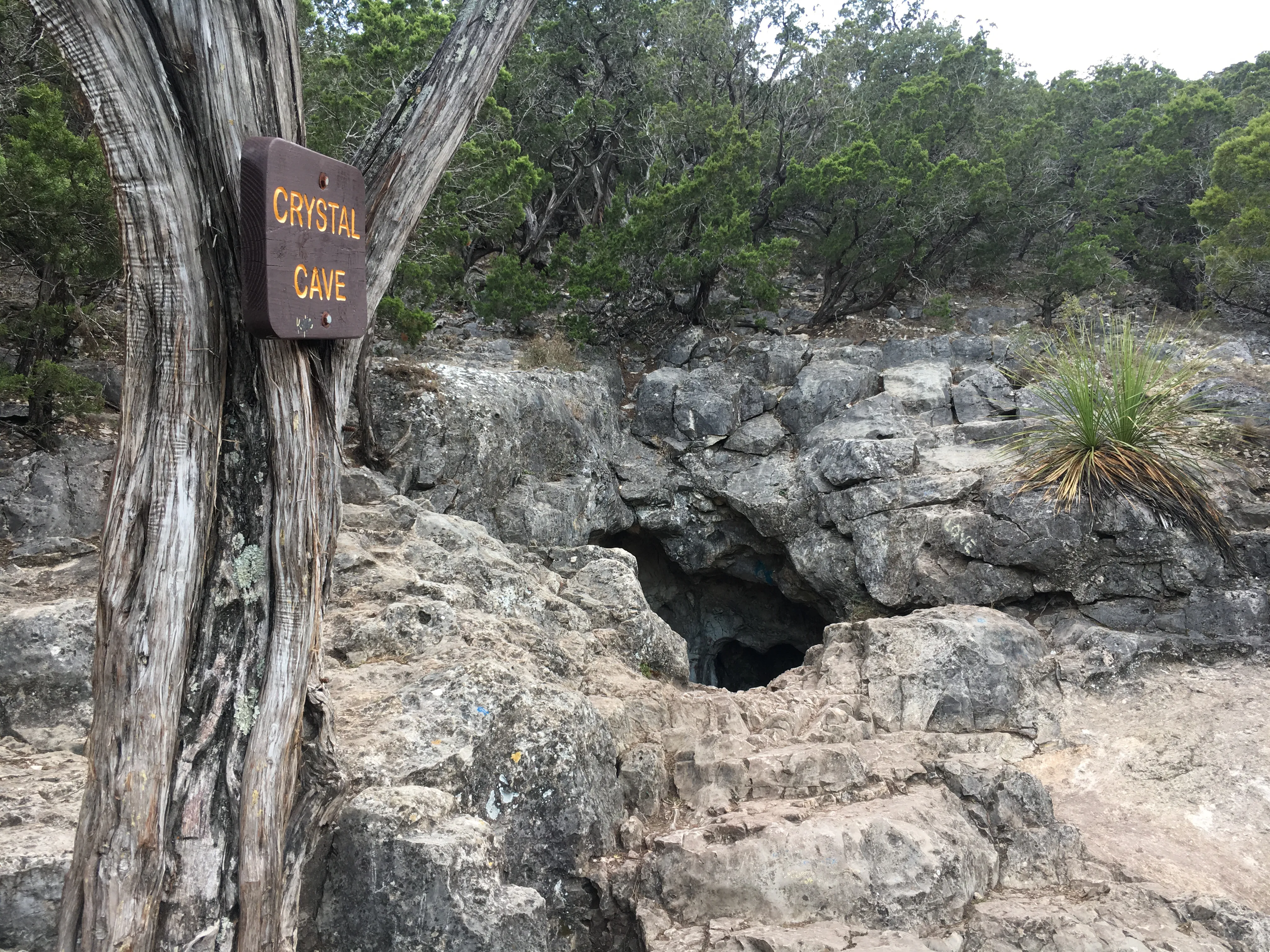 Crystal Cave via Foshee and Old Horse Trail