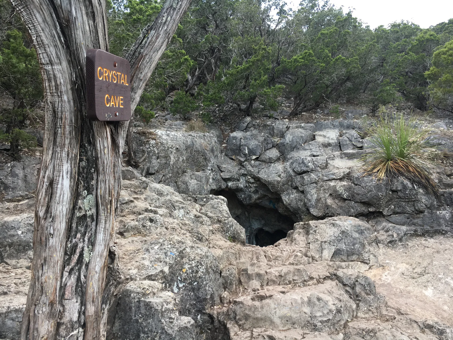 Crystal Cave via Foshee and Old Horse Trail