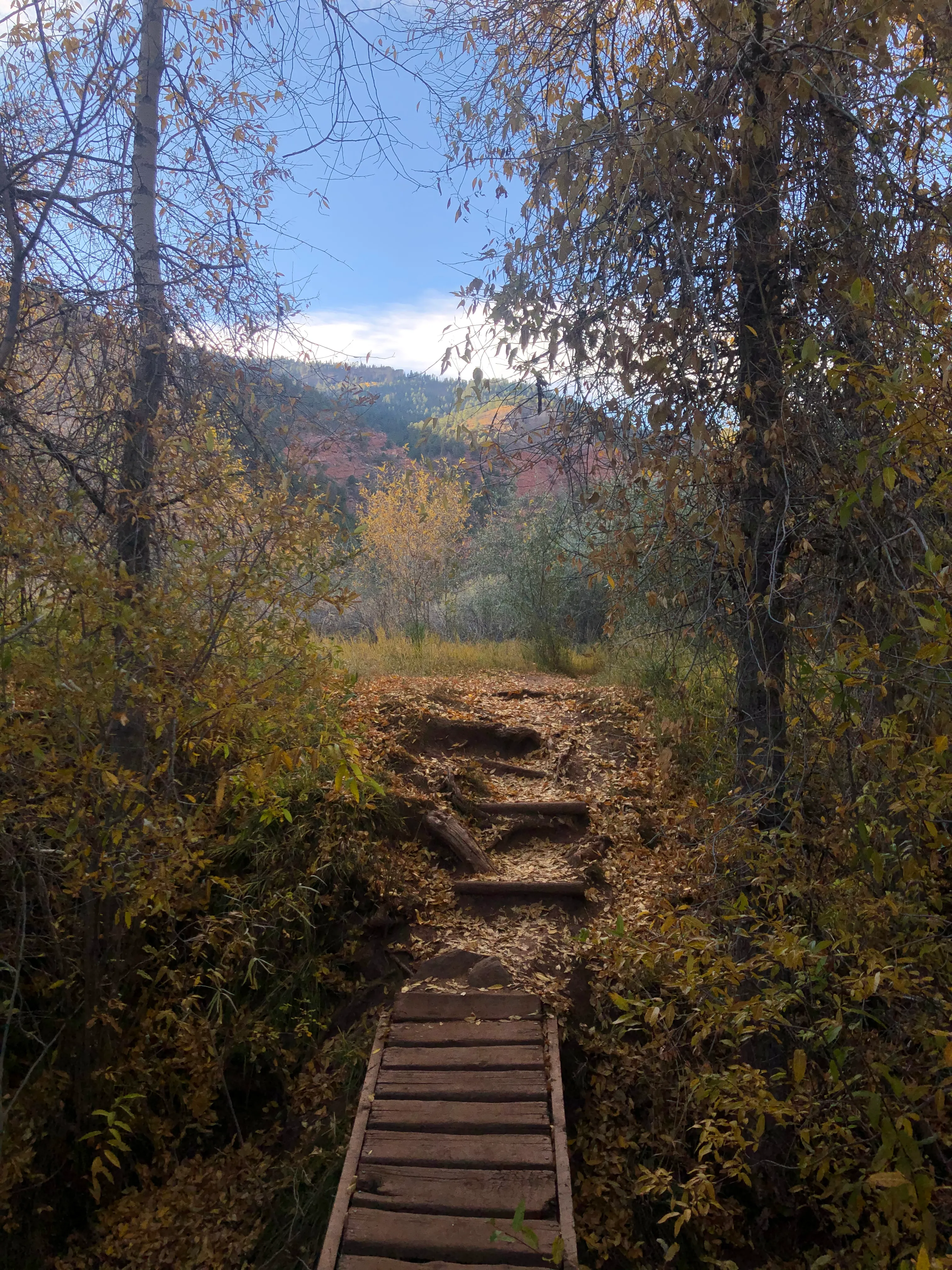 Hike the Falls Creek Loop