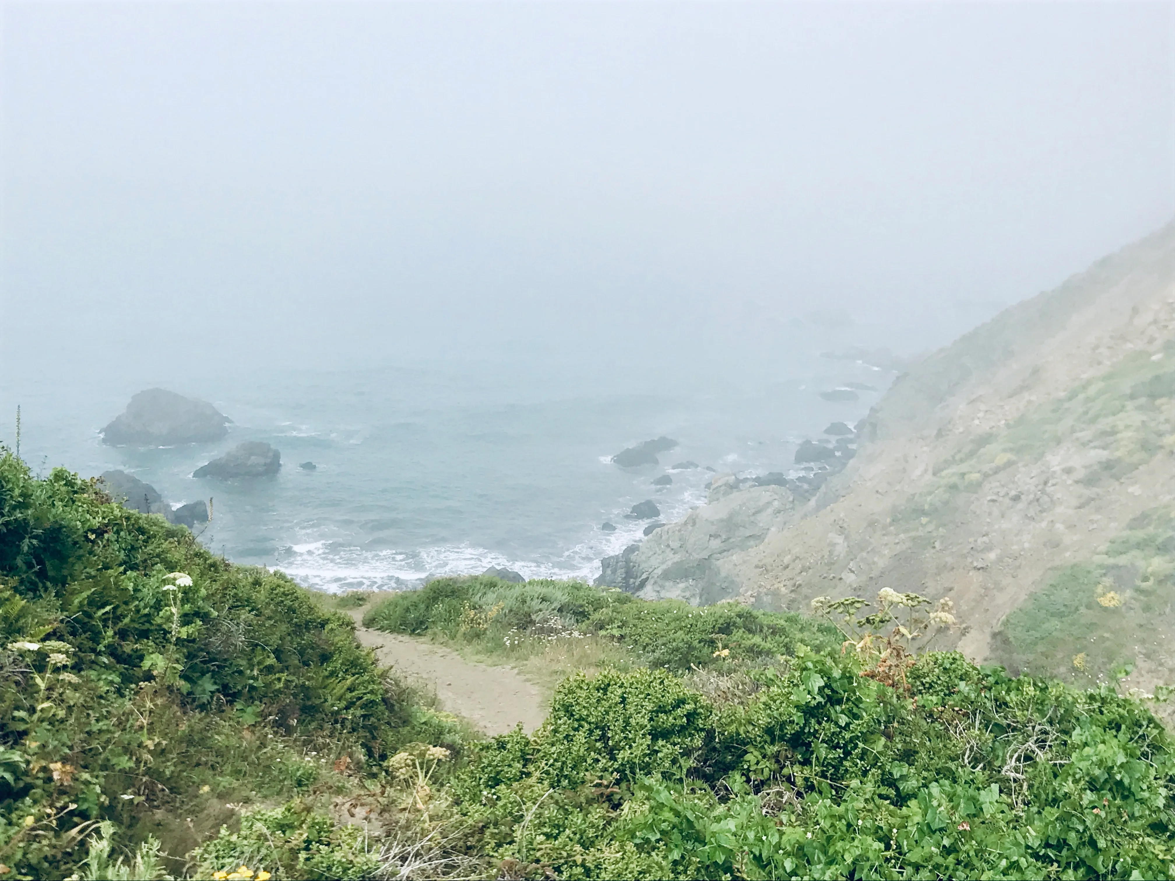 Pirate's Cove