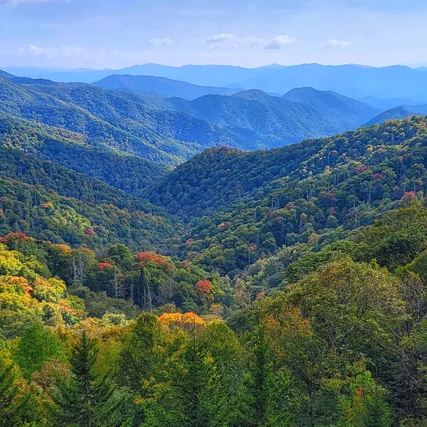 Summer In The Smokies