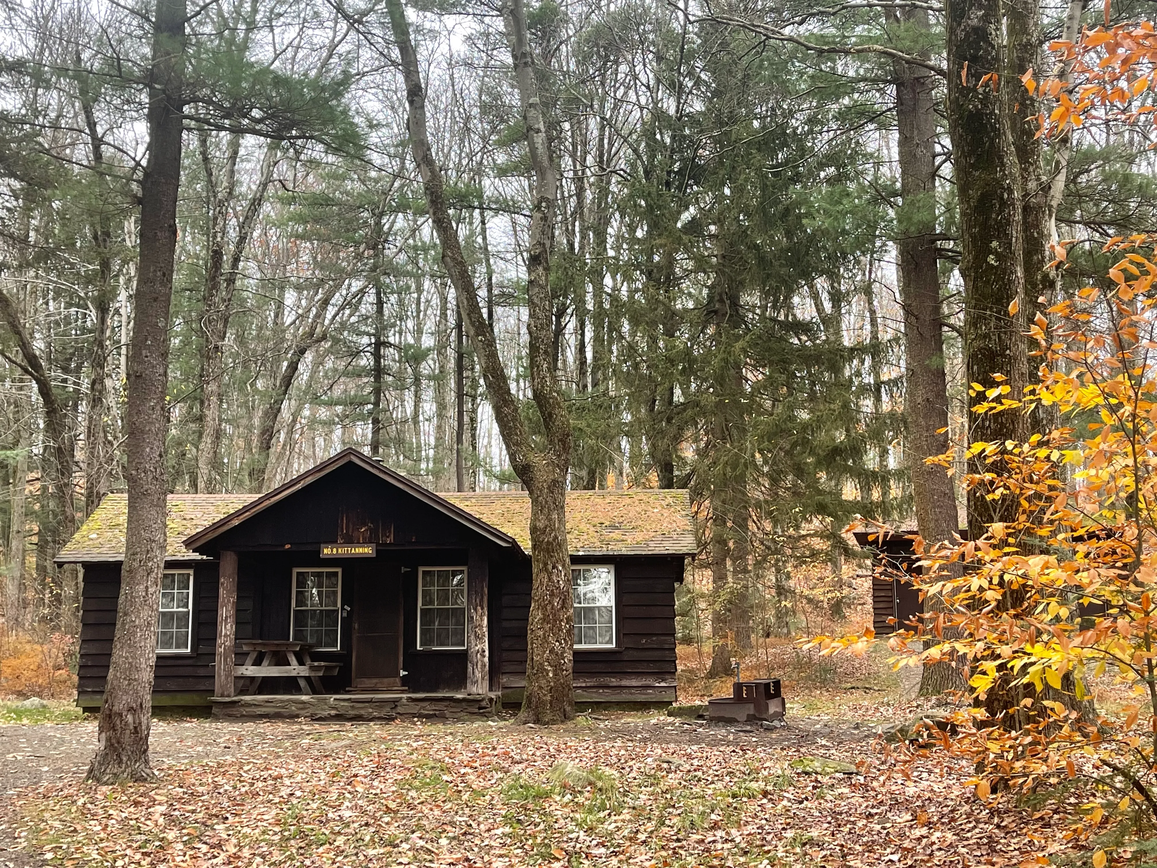 Camp at Rustic Bear Wallow Cabins