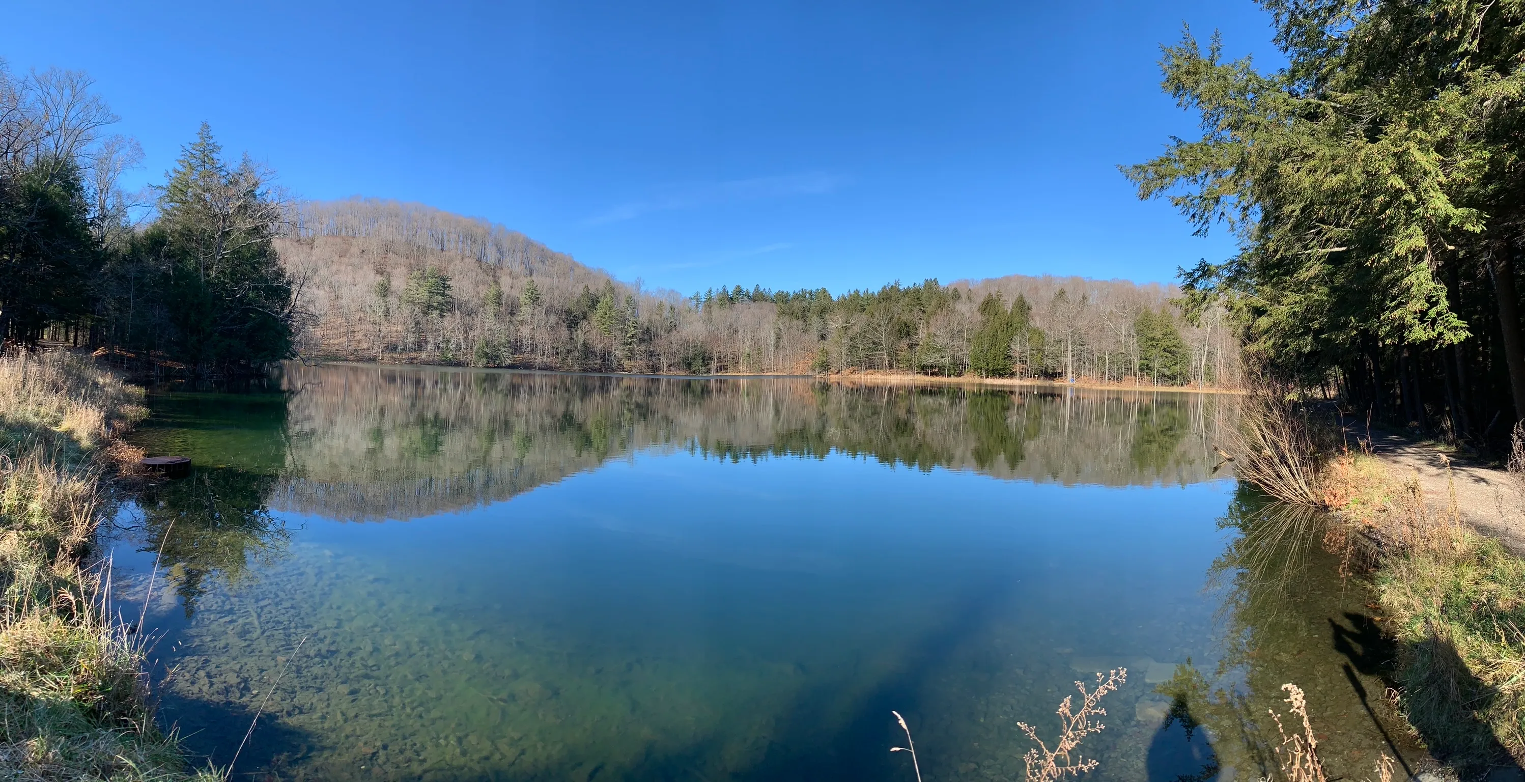 The Pogue and Mount Tom Trail