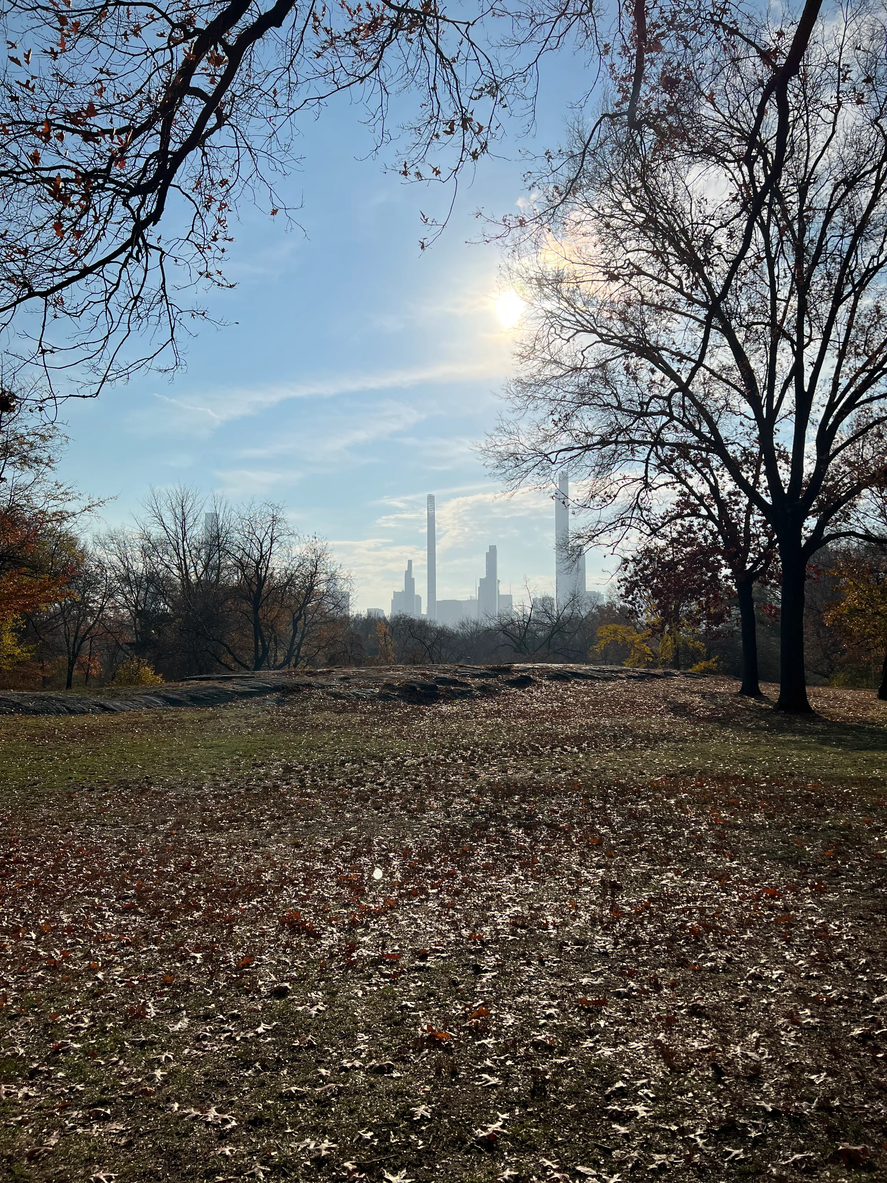 Northwest Central Park Loop