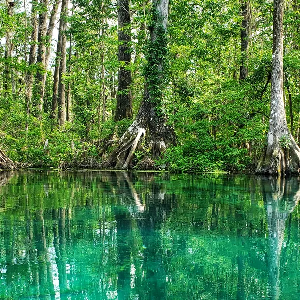 My Favorite Places To Explore In Florida