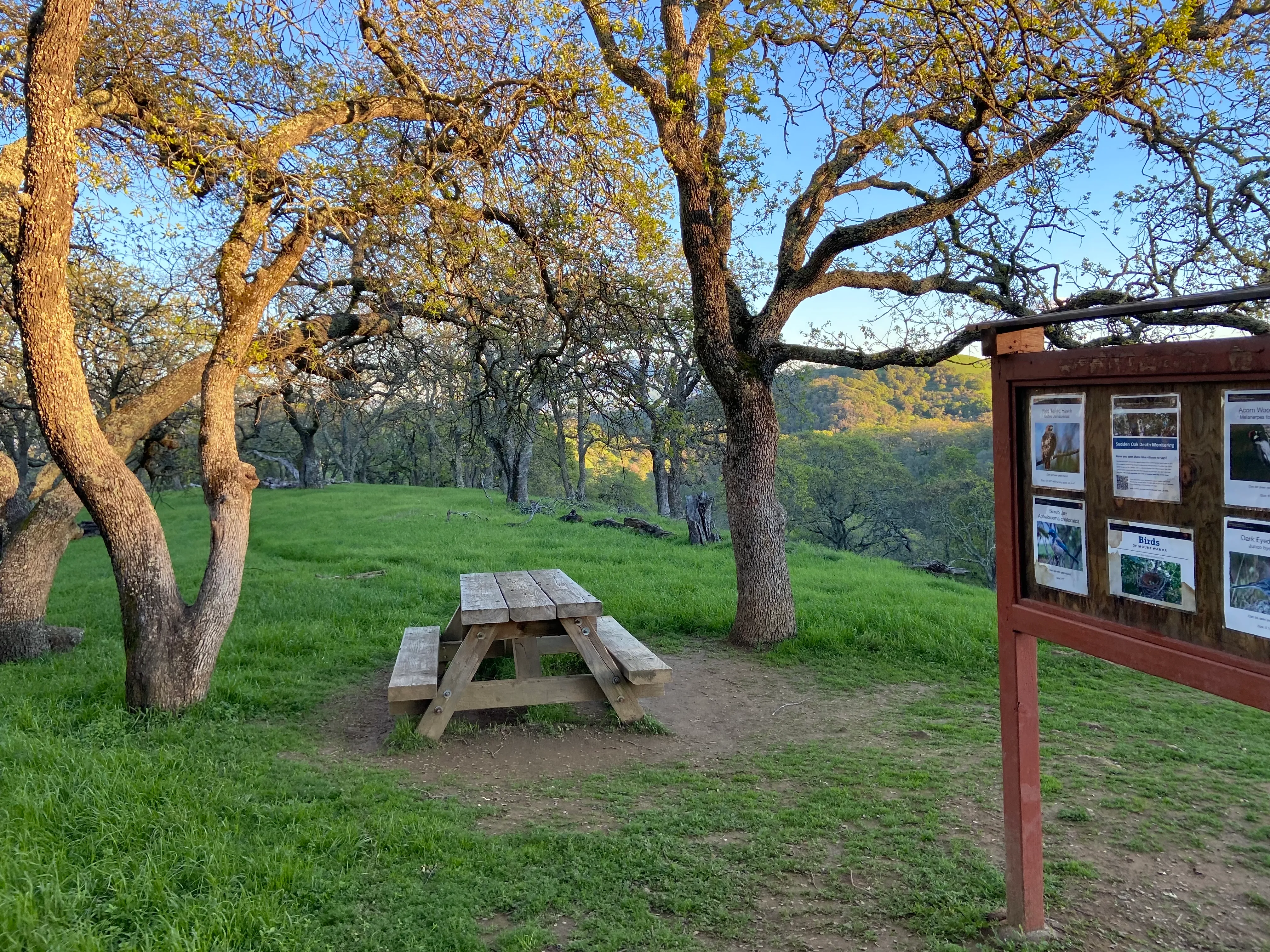 Muir Farm And Mount Wanda: John Muir Nature Trail