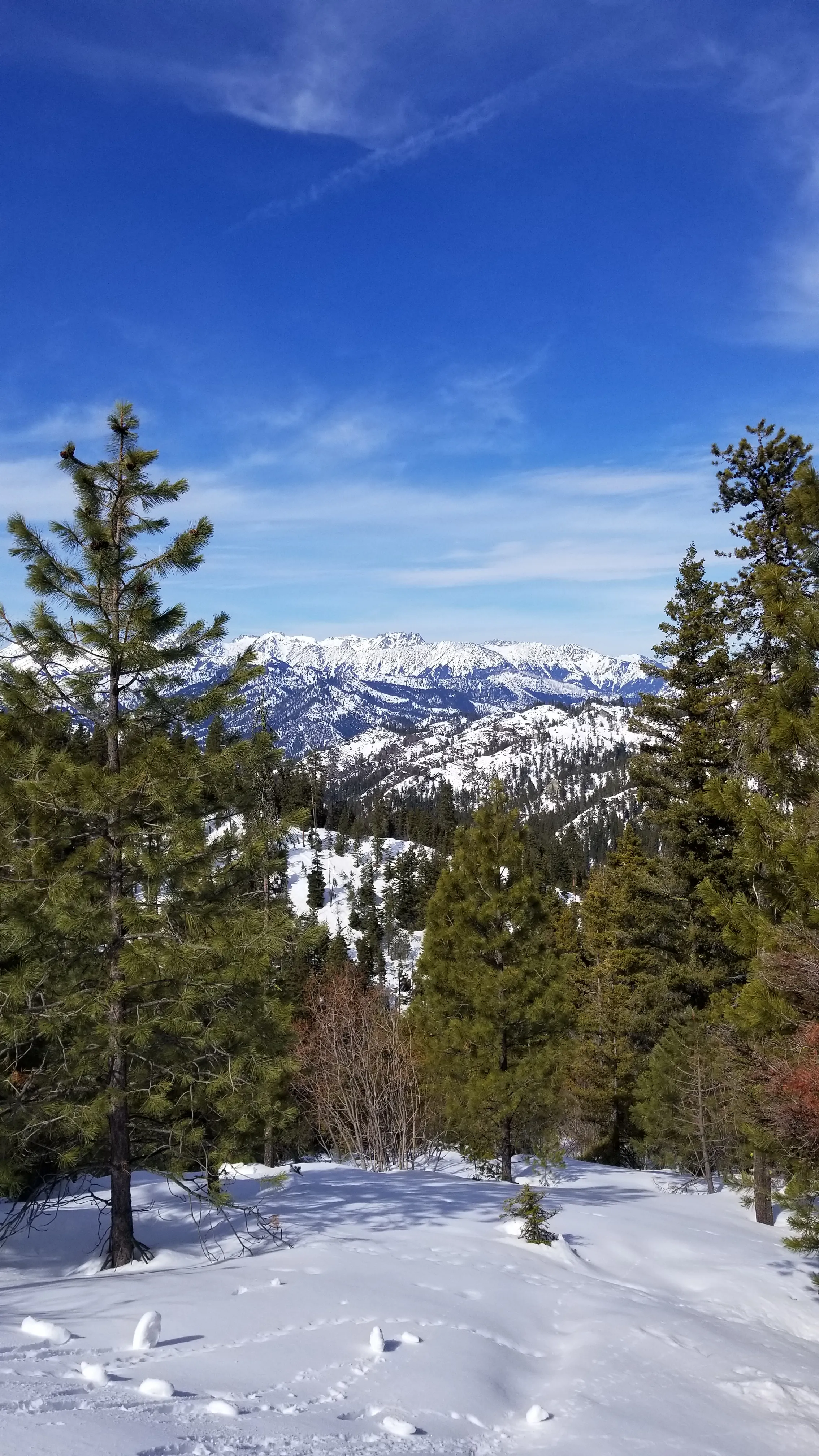 Wenatchee Crest Trail