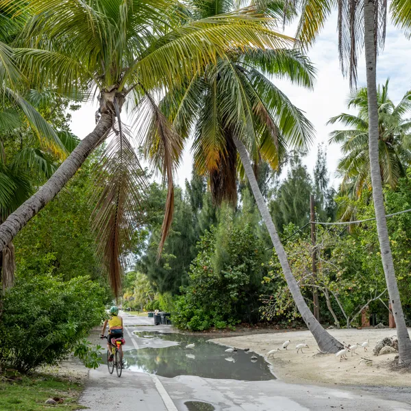 A 200+ Mile Cycling Adventure in the Florida Keys