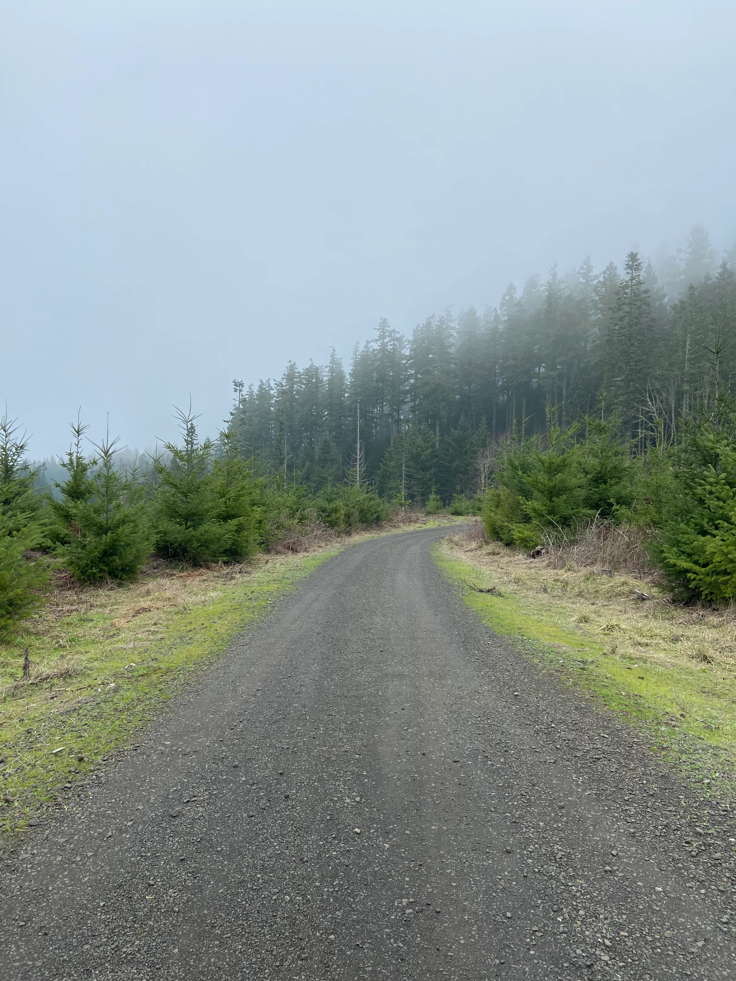 420, 300, and 400 Trails Loop