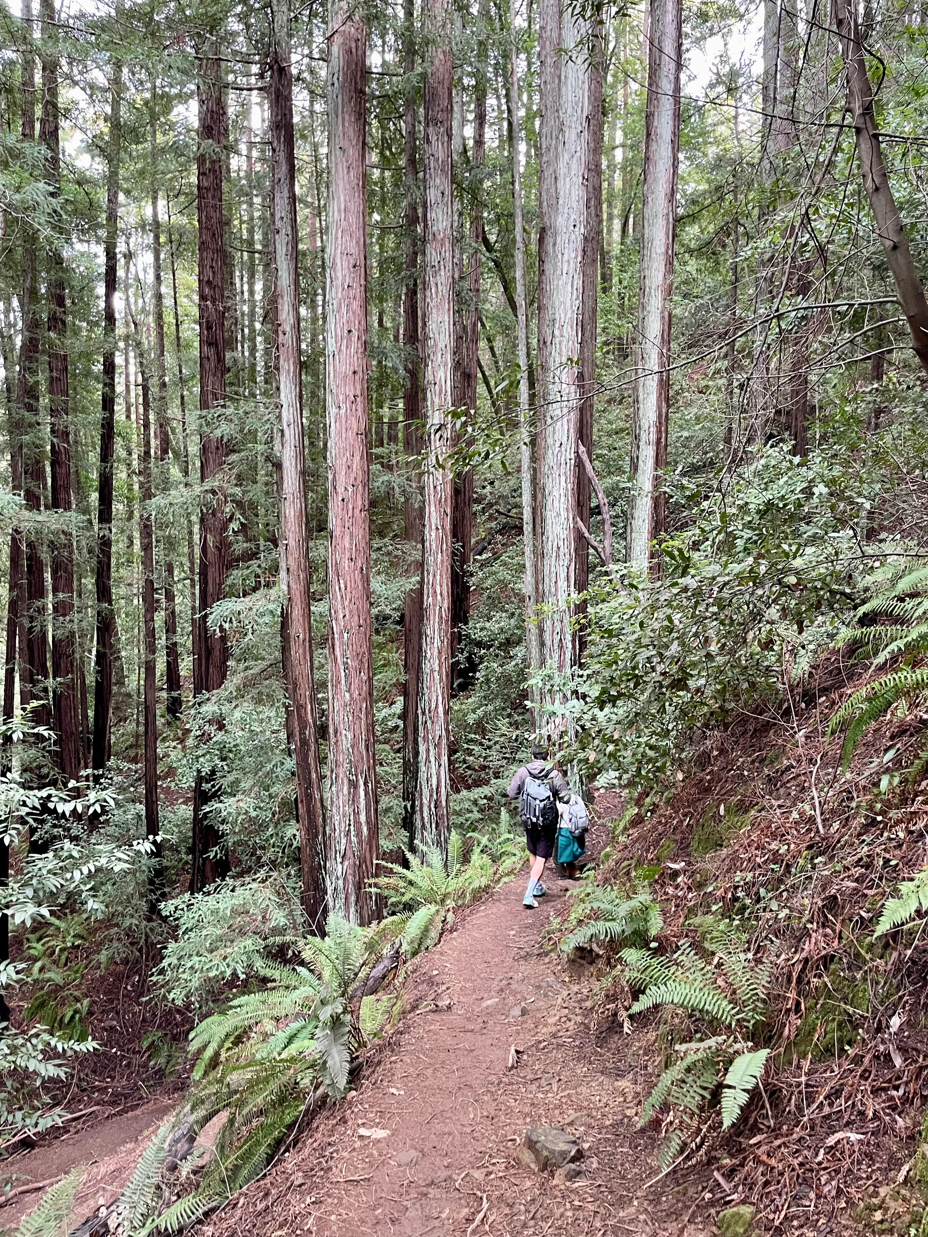 Baltimore Canyon Via Dawn Falls Trail Loop