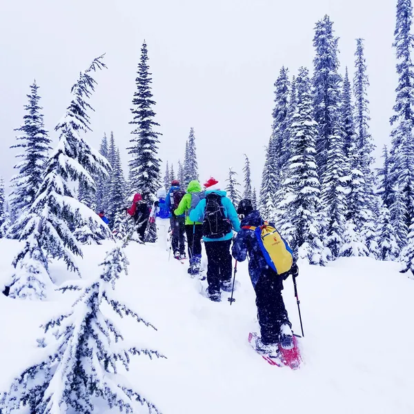 16 Favorite Winter Hikes in the Pacific Northwest