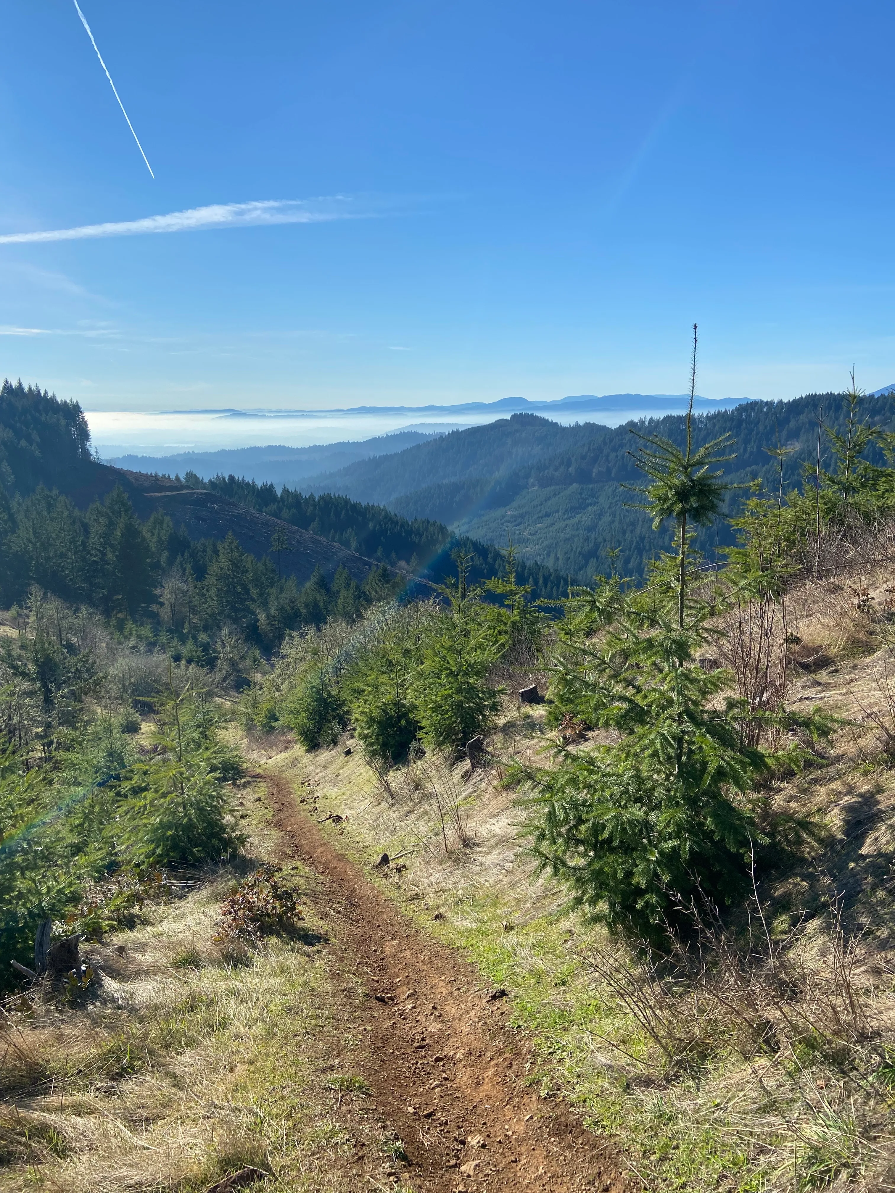 McCulloch Peak Loop
