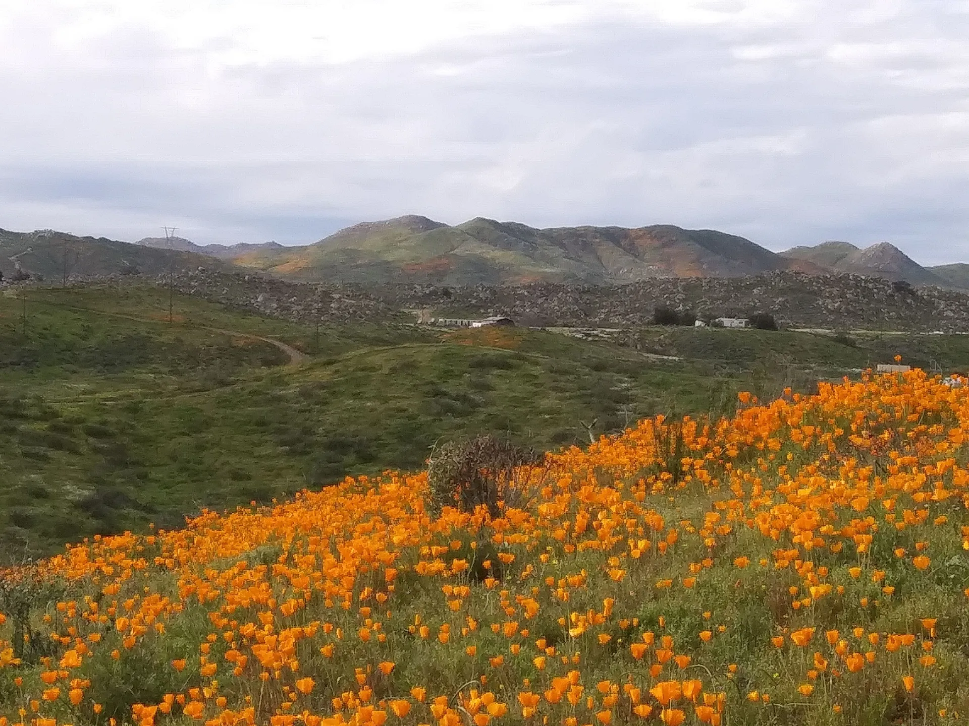 Kabian Memorial Park Loop