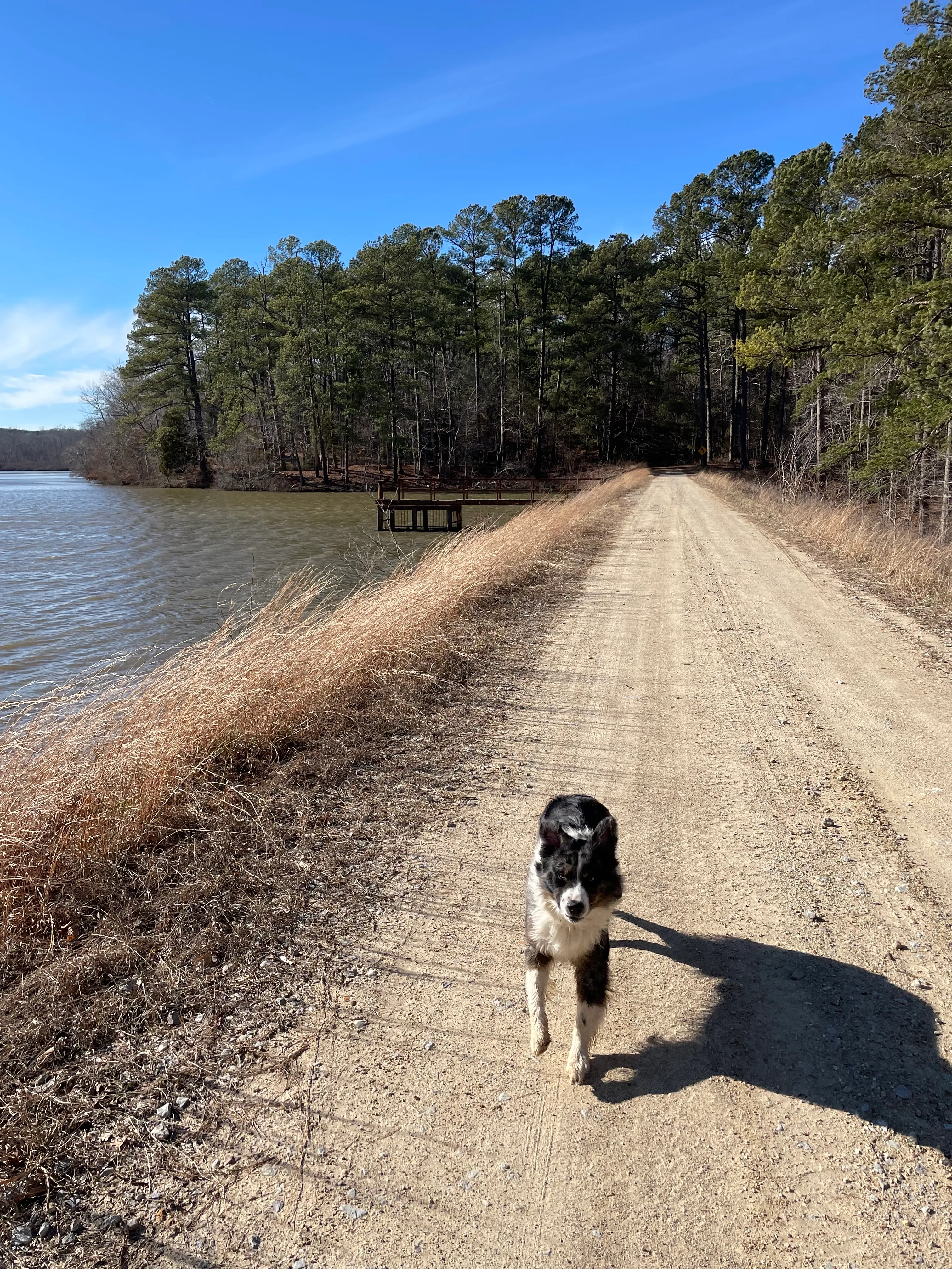 Cub Lake Trail