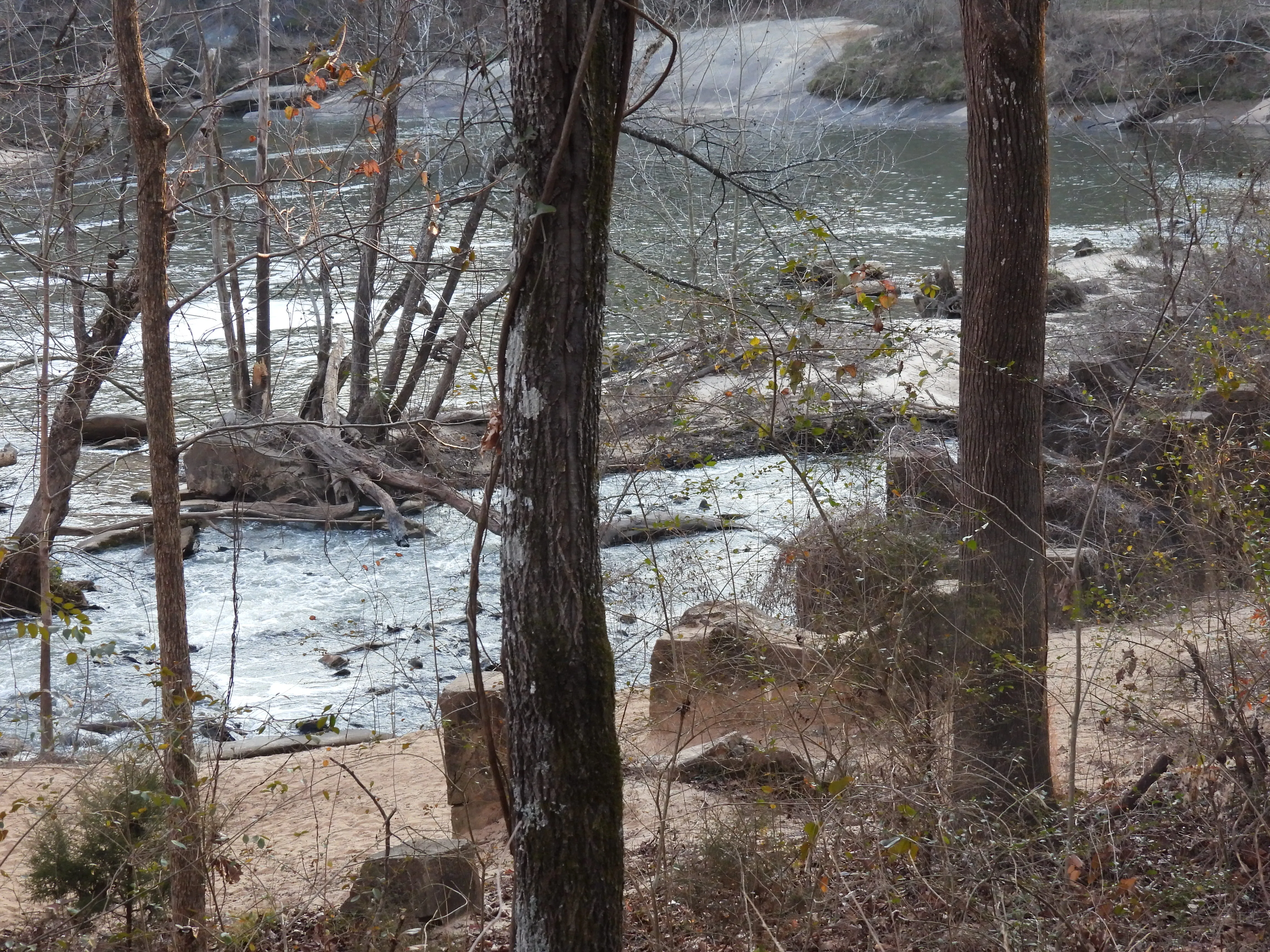 Interpretive Jo Peeler Nature Trail