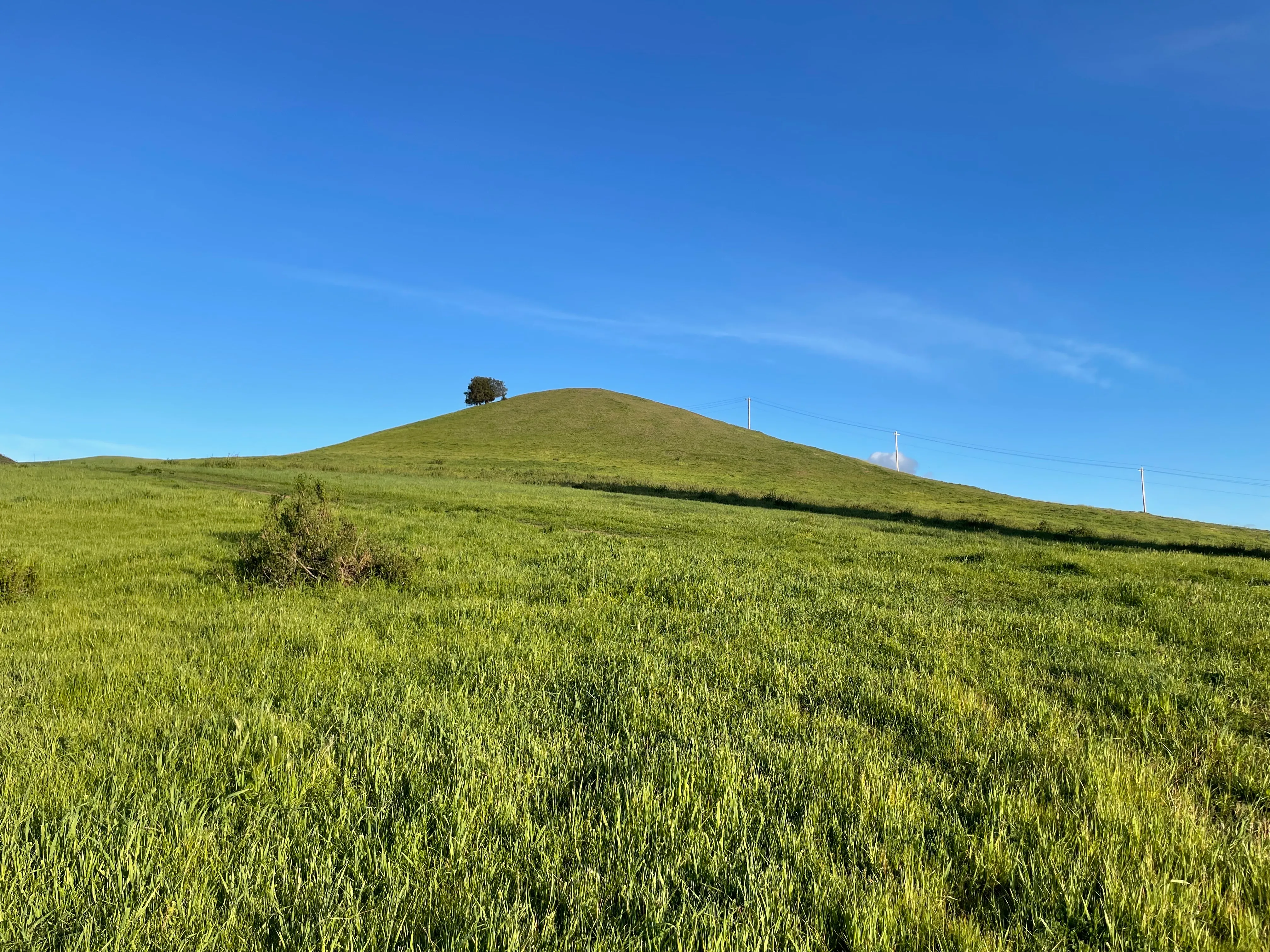 Southern Lime Ridge Loop