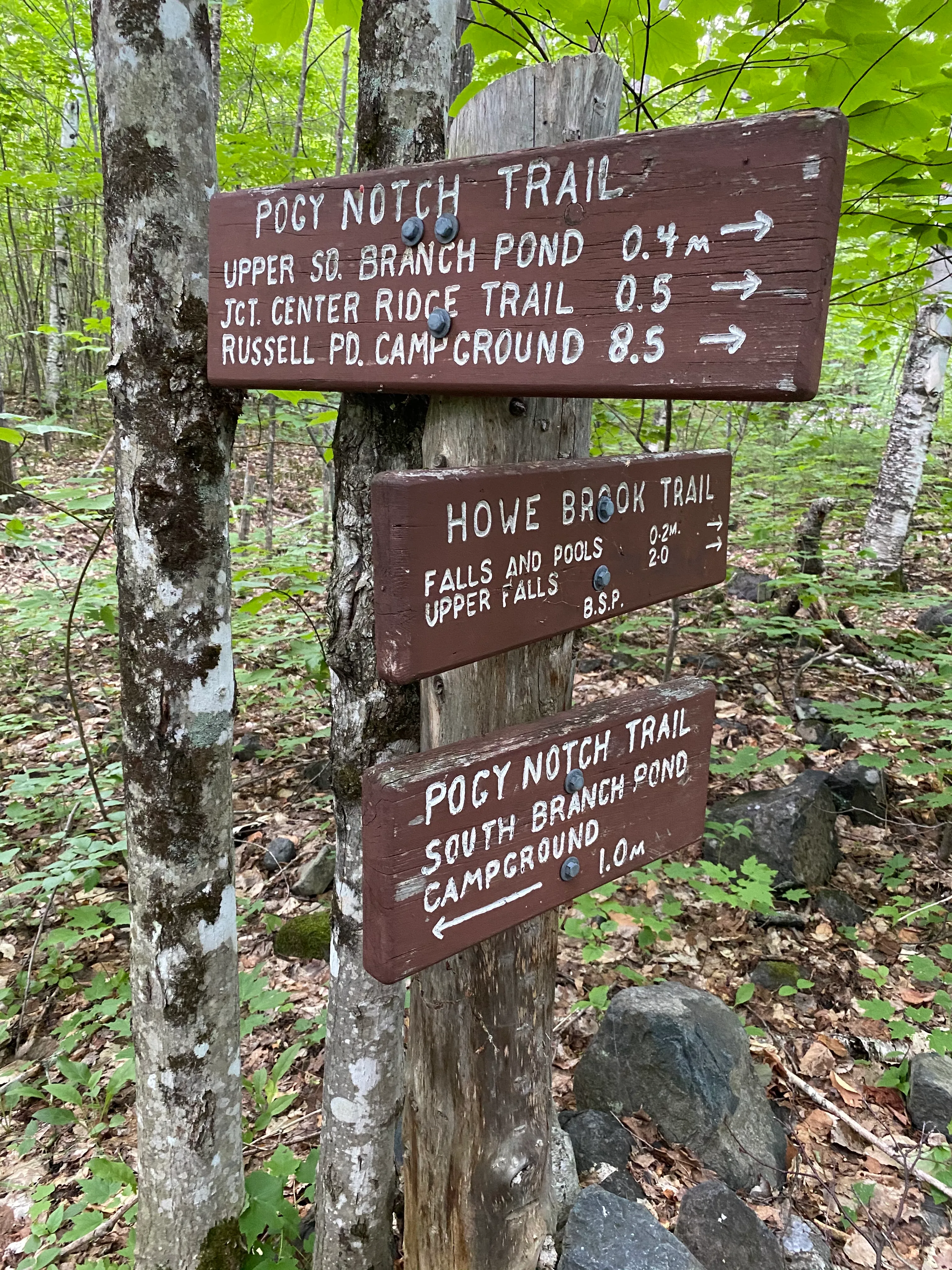 North Traveler Mountain Trail to Pogy Notch Trail Loop