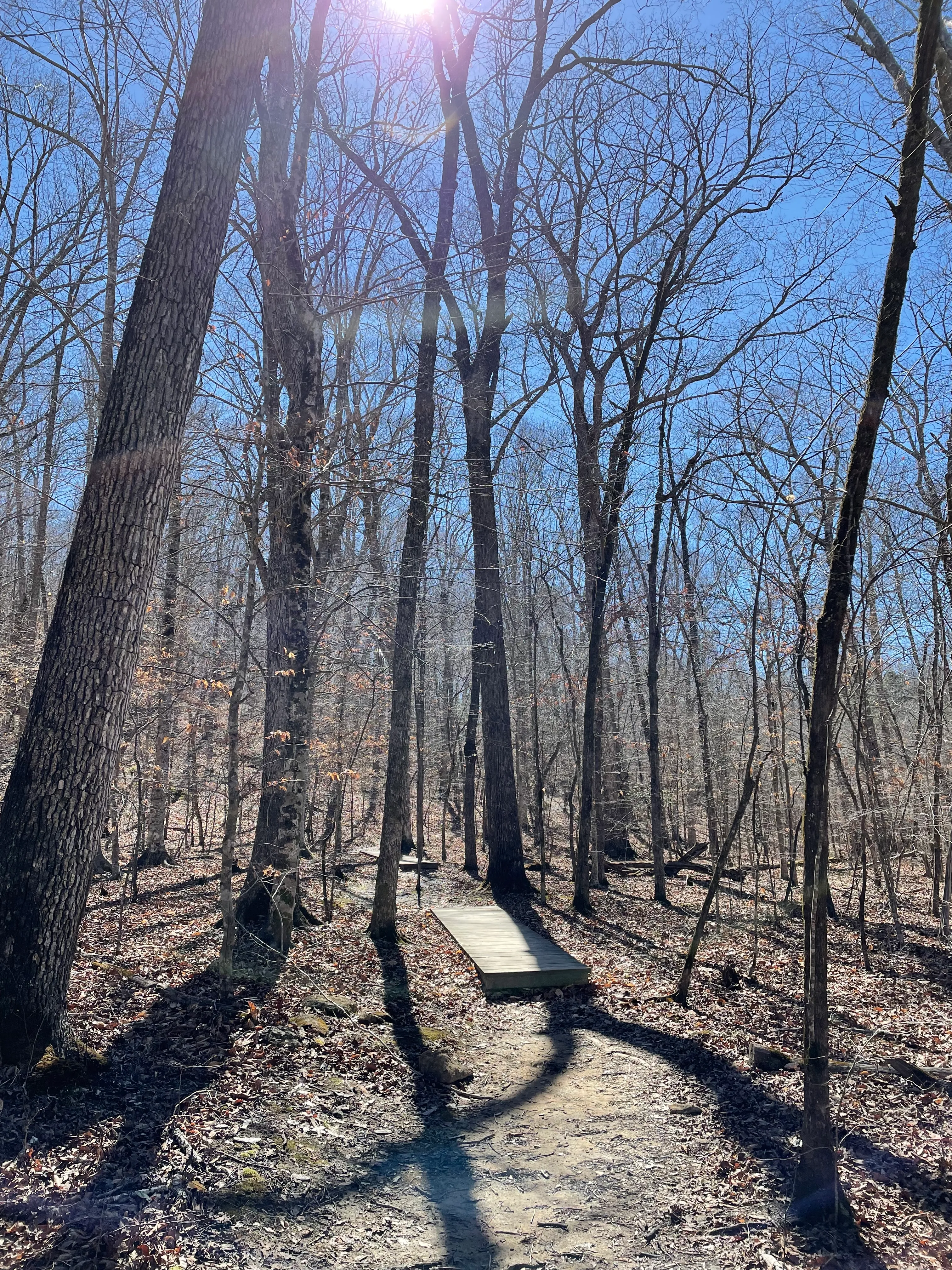 Rhododendron Bluff Circuit