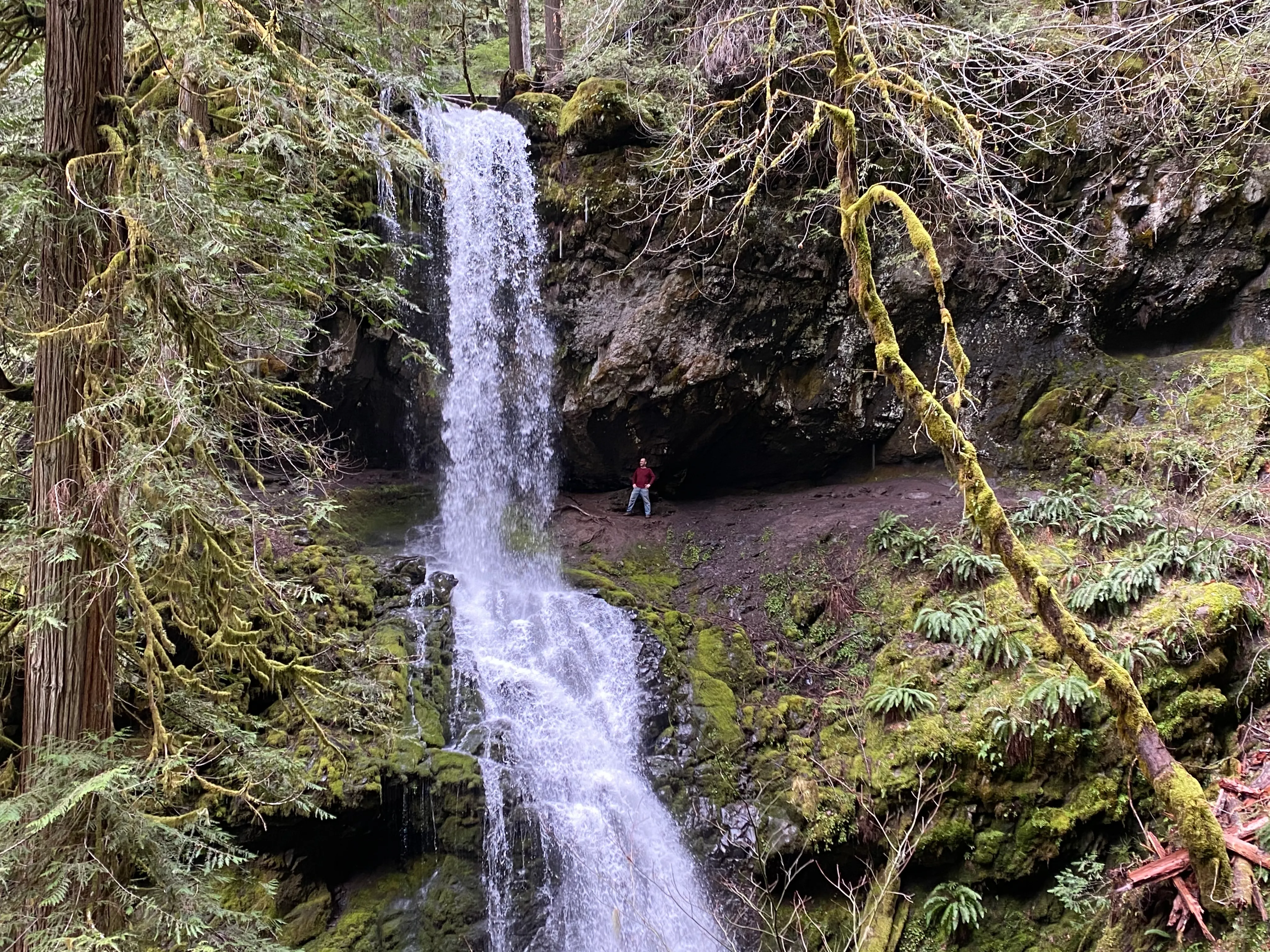 Trestle Creek Falls Loop