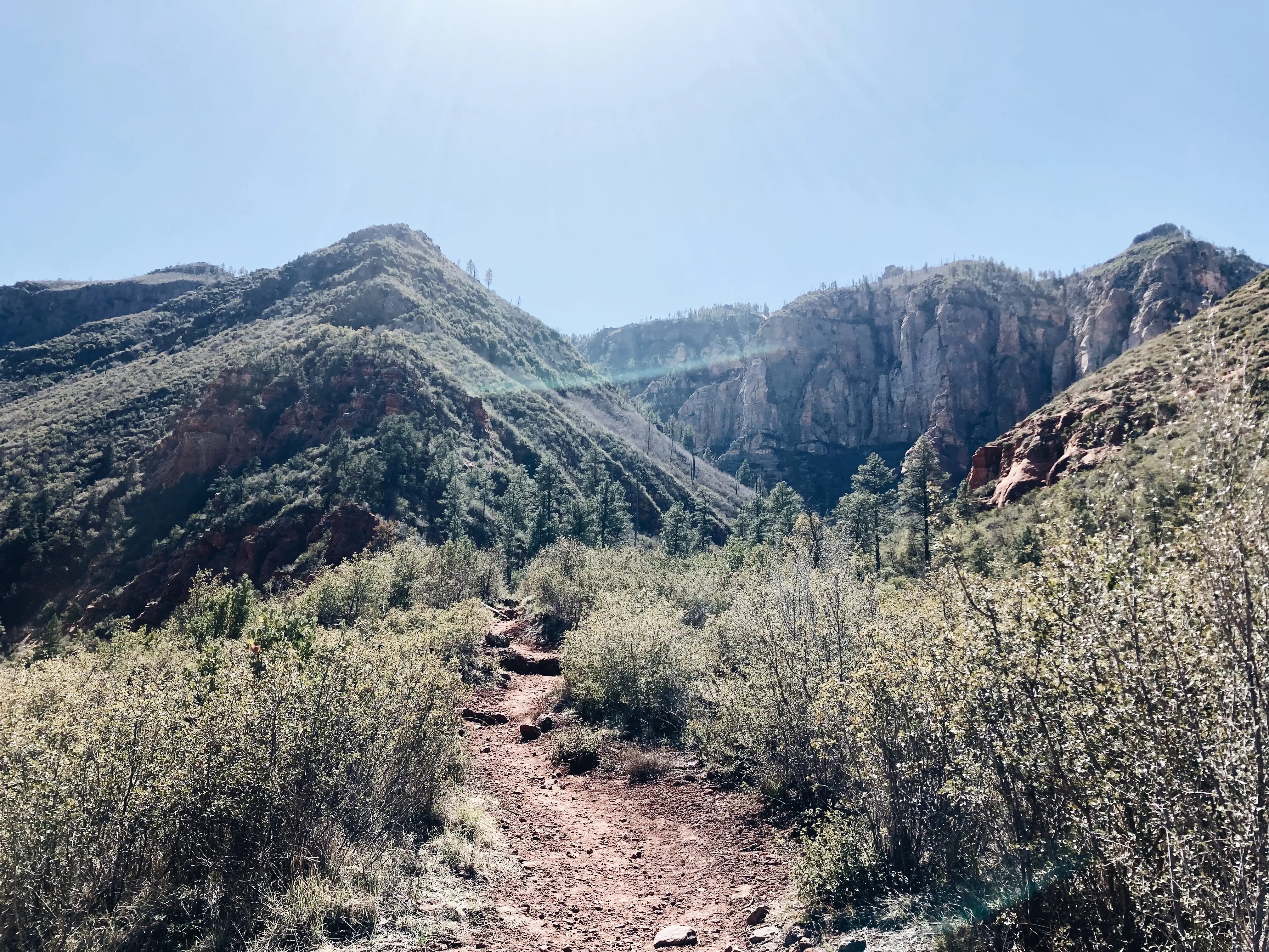 Wilson Mountain Trail