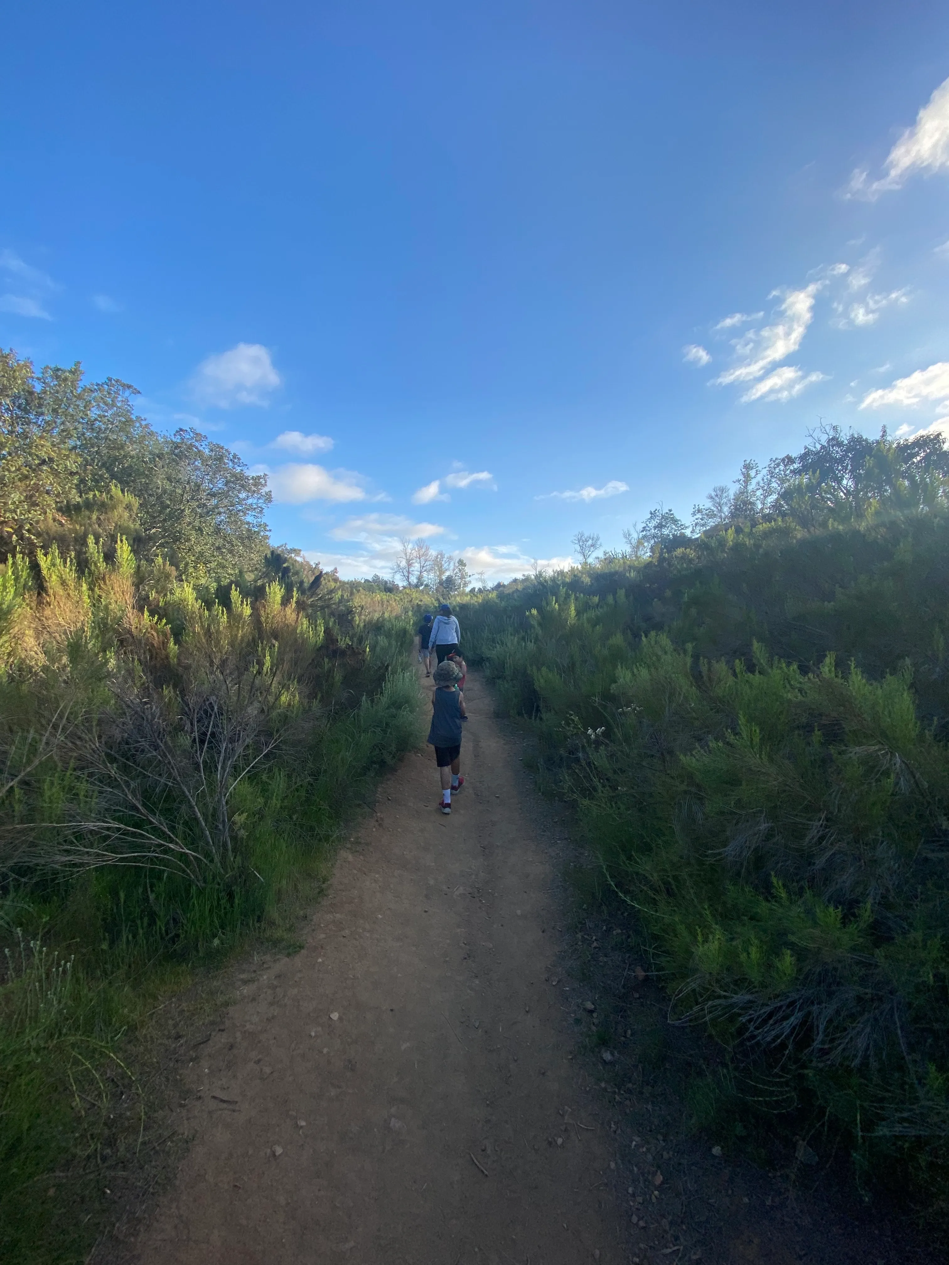 Visitor Center Loop Trail