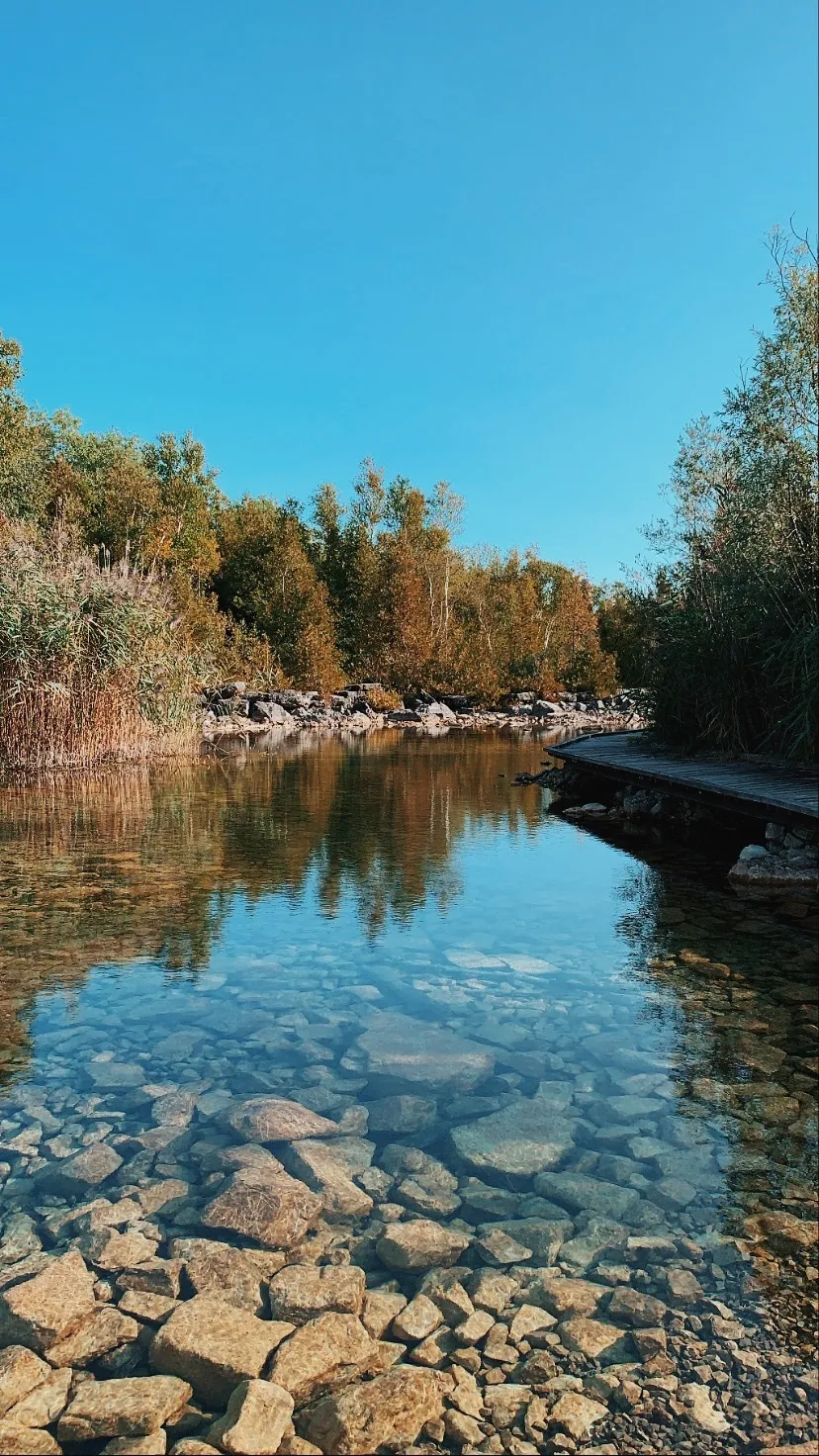 Fletcher Creek Ecological Preserve Loop