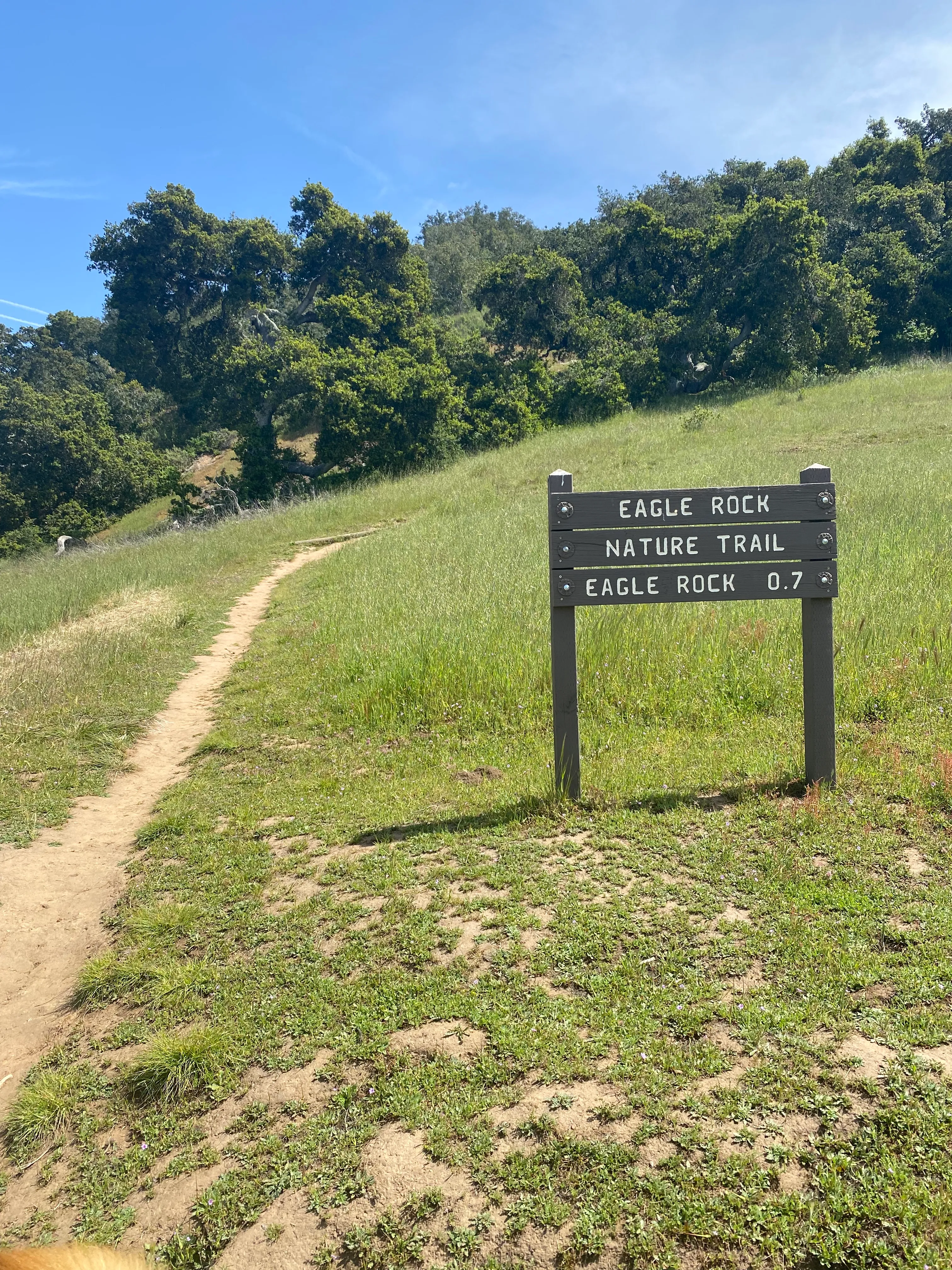 Eagle Rock Nature Trail