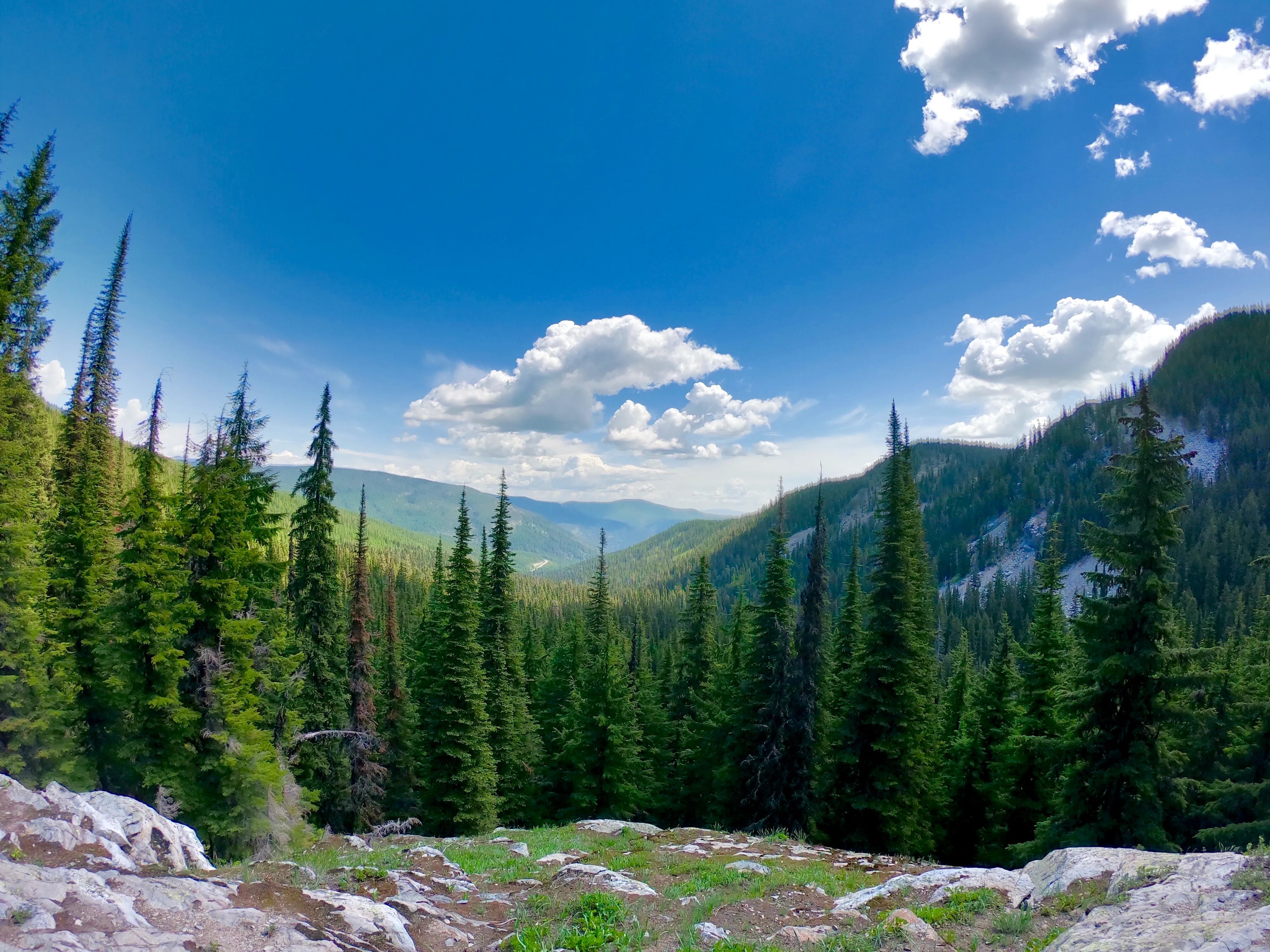 Blossom Lakes Trail