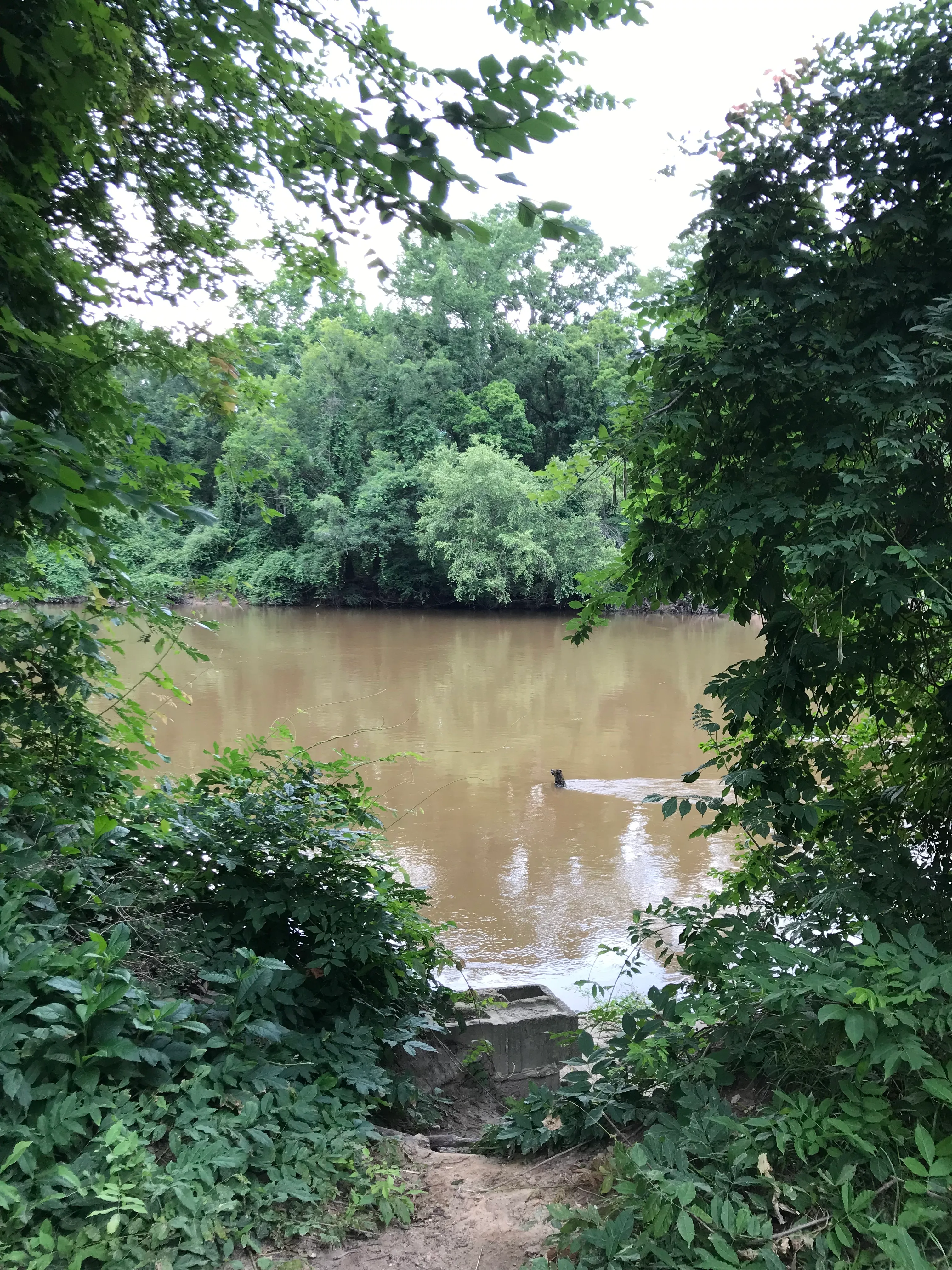 Greenville Greenway Trail