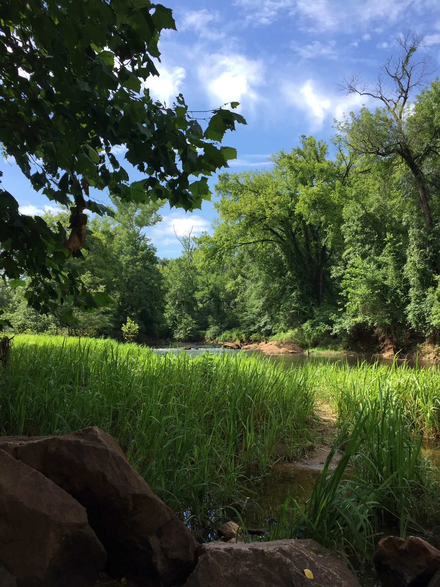 Neuse River Trail