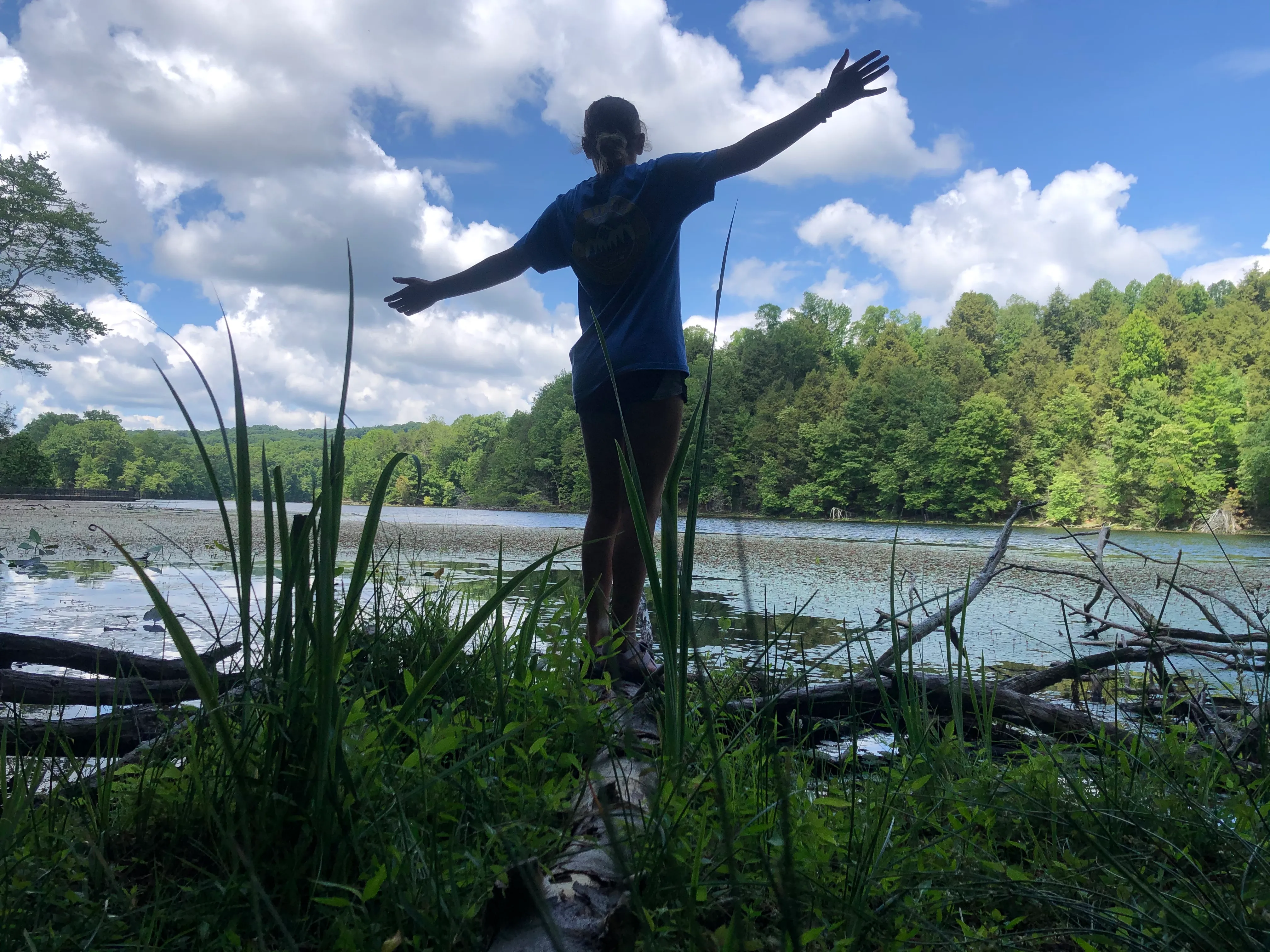 Bays Mountain Reservoir Trail