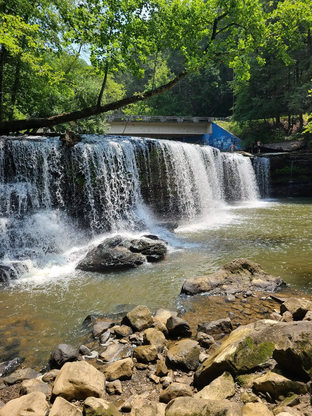 Potter's Falls