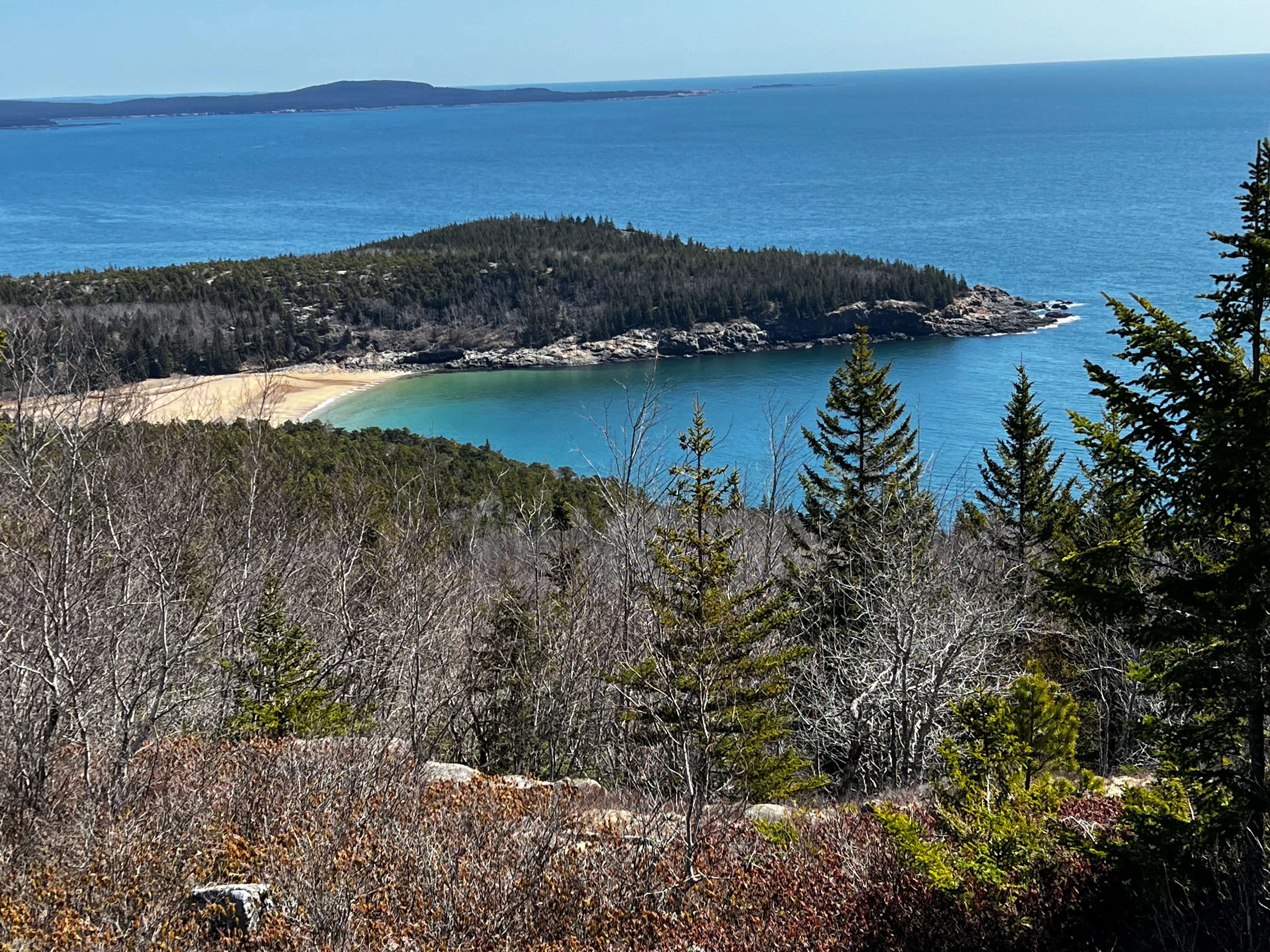 Ocean Path and Gorham Mountain Loop Trail