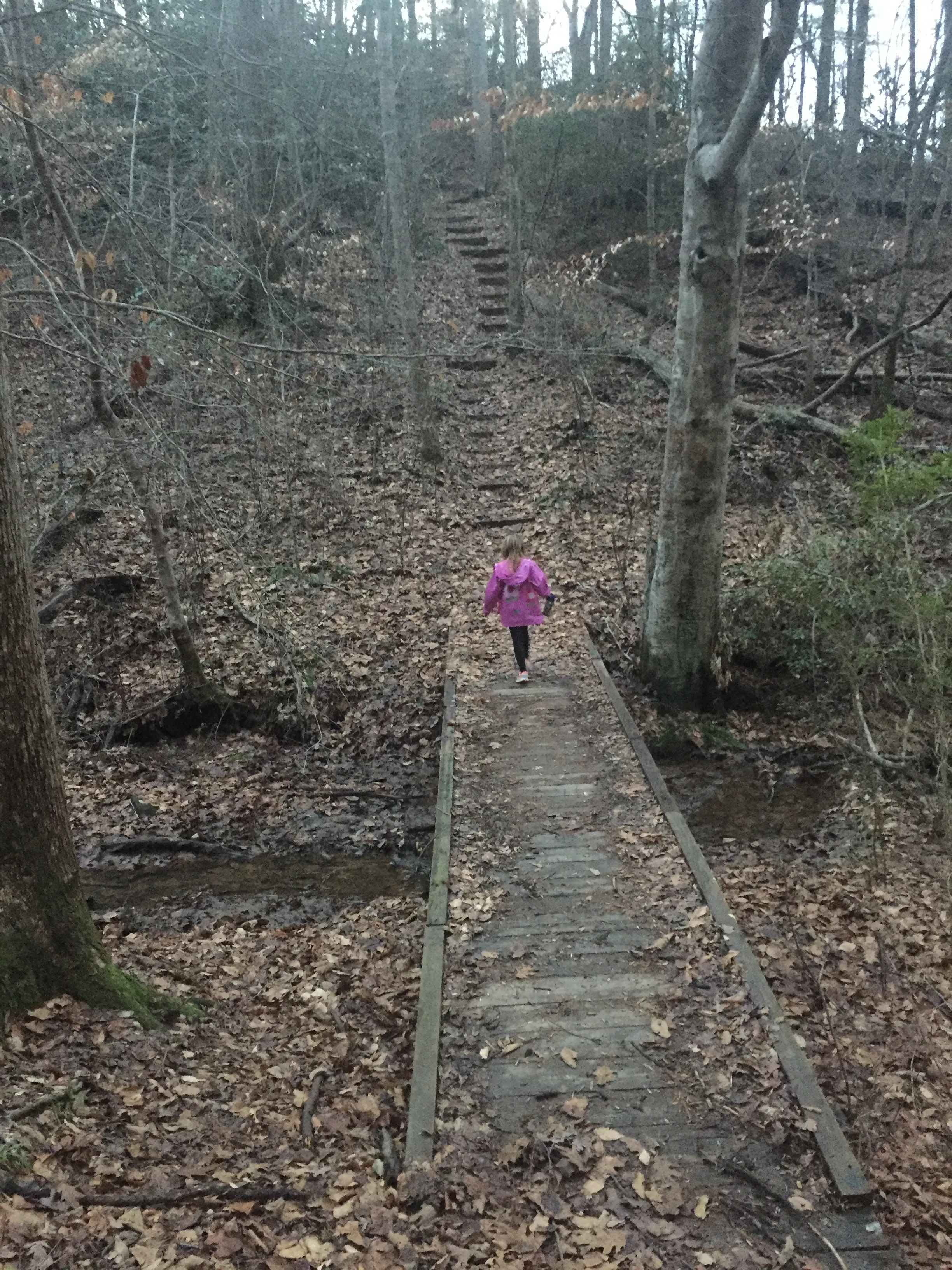 Geitner Rotary Park Loop