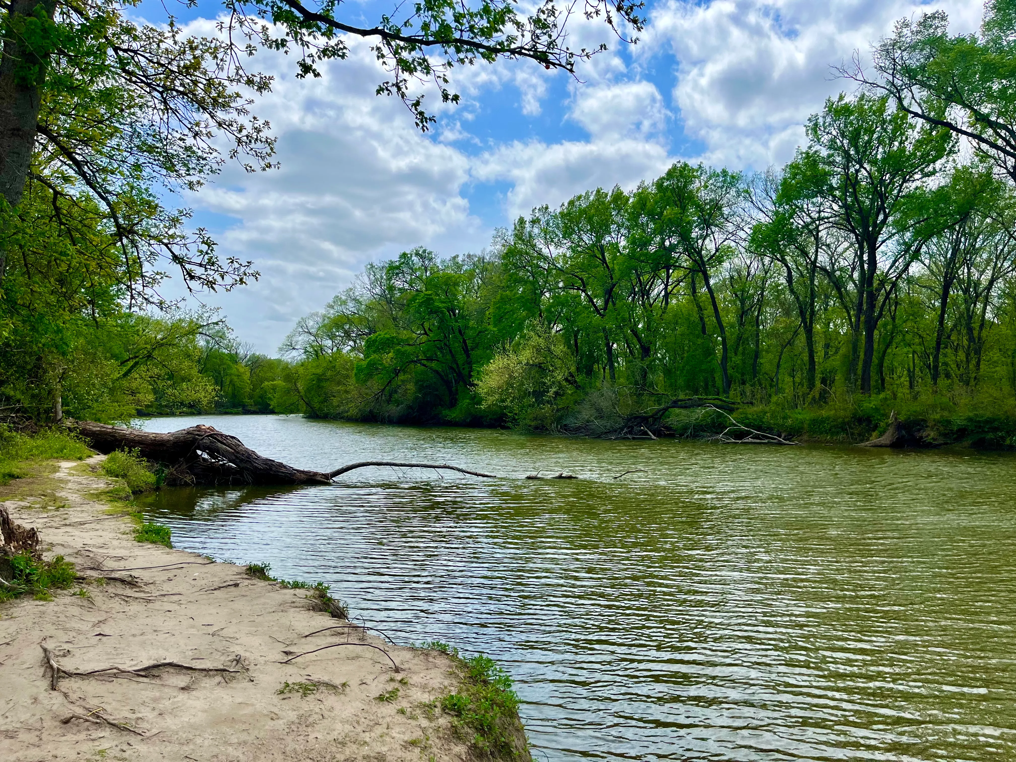 Navasota River Trail