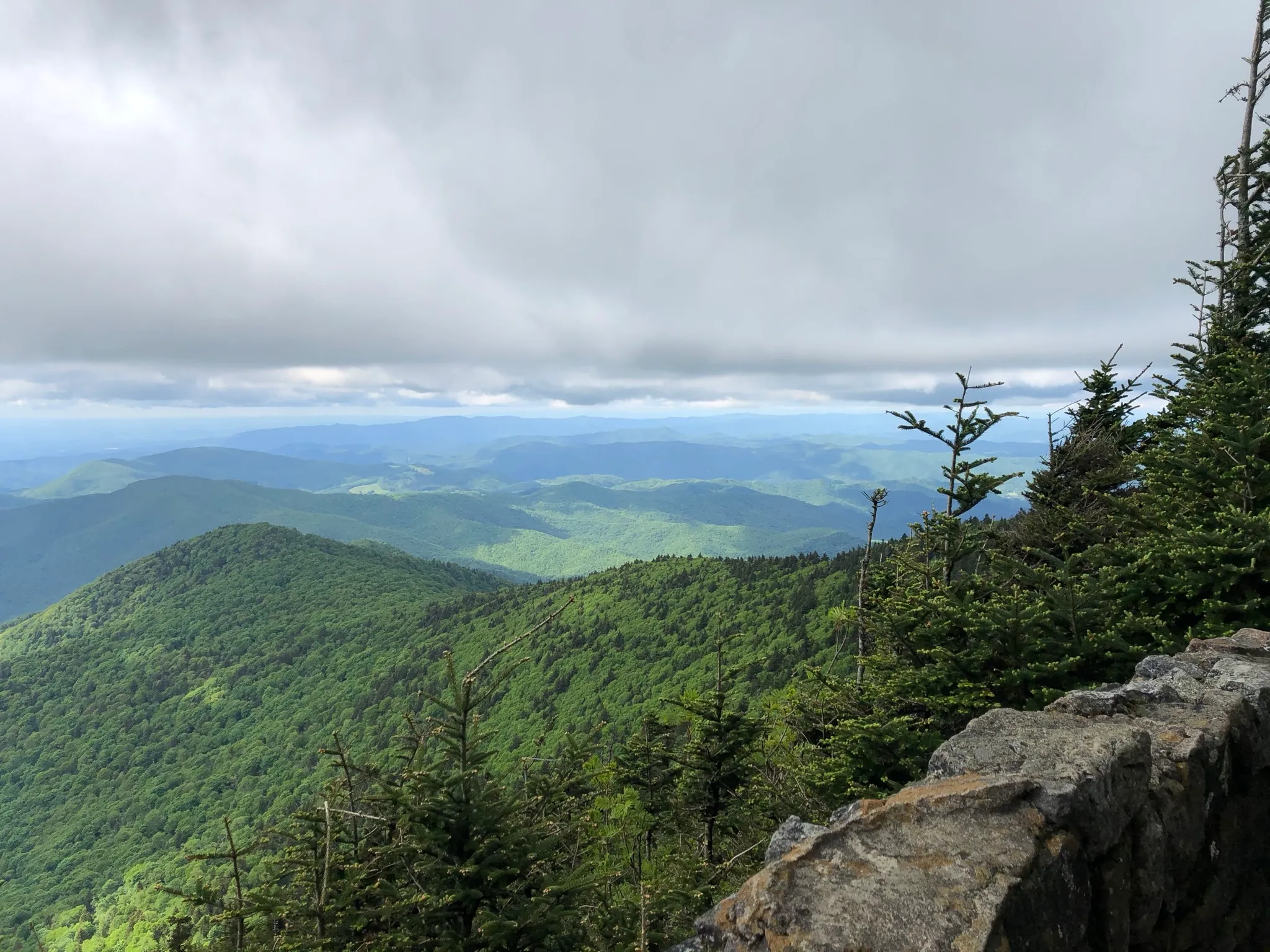 Cloudland Trail