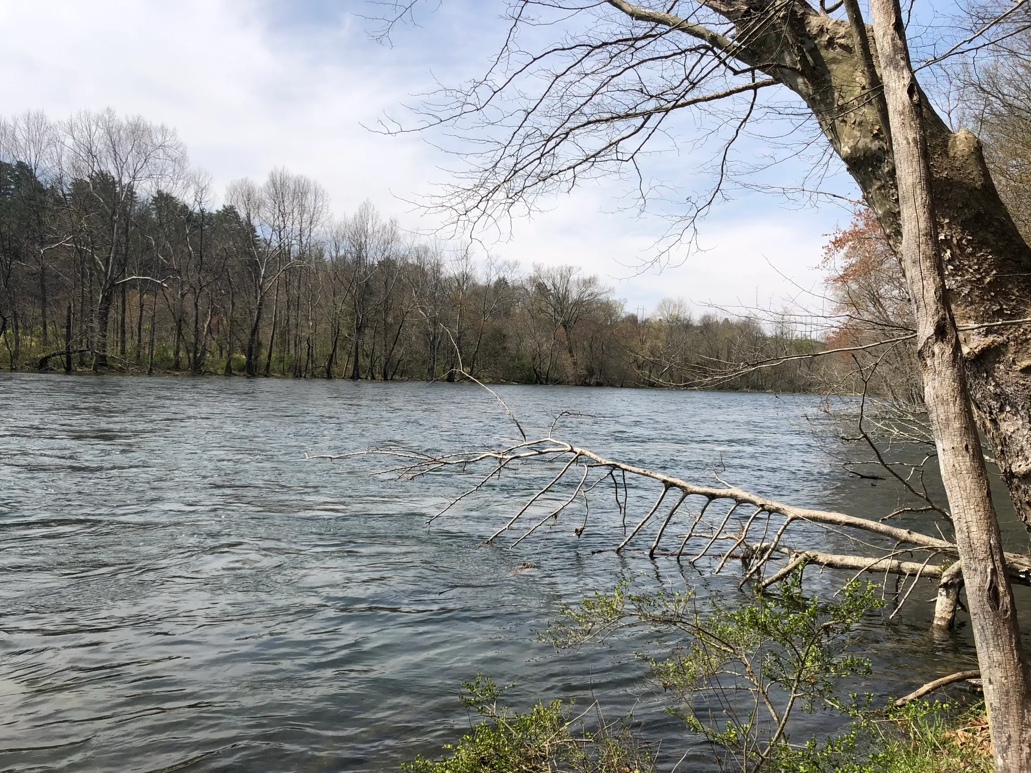 Tailwater Trail 